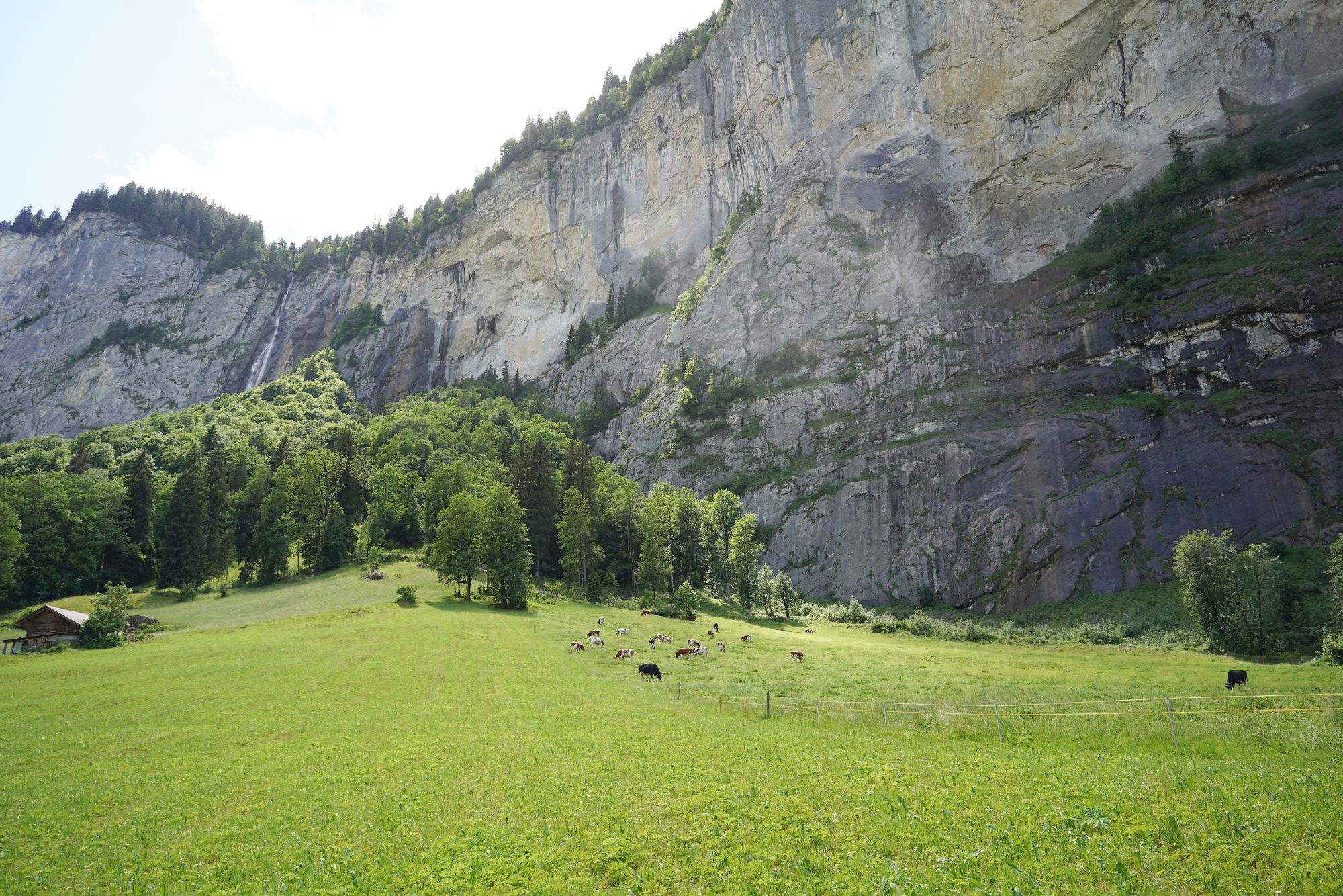 Hike Down to Lauterbrunnen (184) Hike Down to Lauterbrunnen (184)