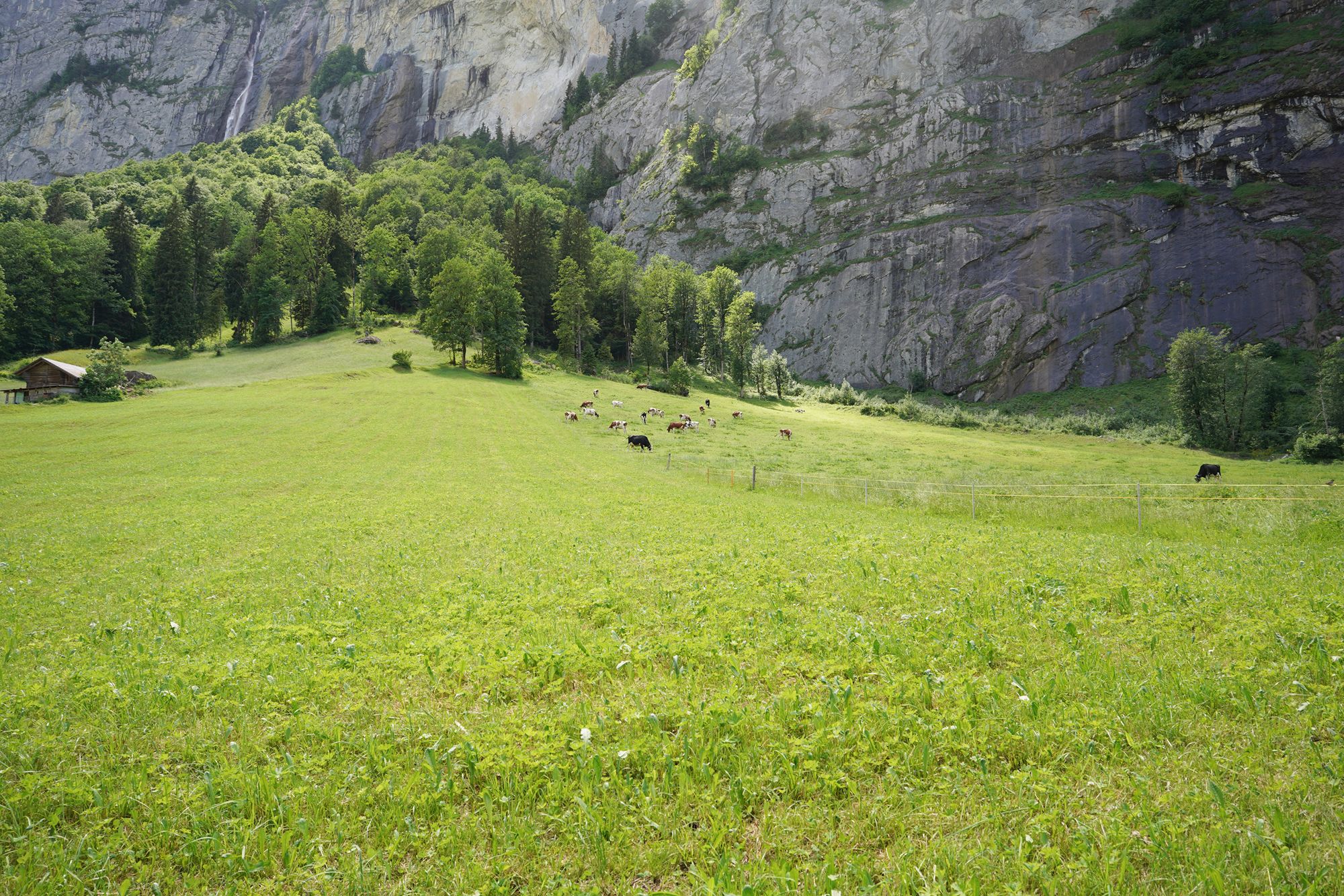 Hike Down to Lauterbrunnen (185) Hike Down to Lauterbrunnen (185)
