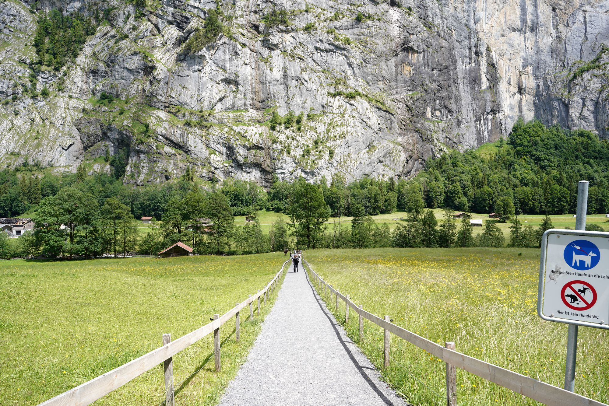 Hike Down to Lauterbrunnen (201) Hike Down to Lauterbrunnen (201)