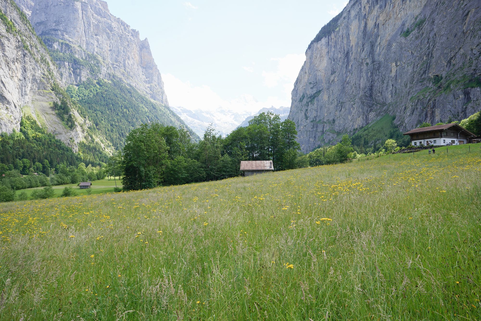 Hike Down to Lauterbrunnen (202) Hike Down to Lauterbrunnen (202)