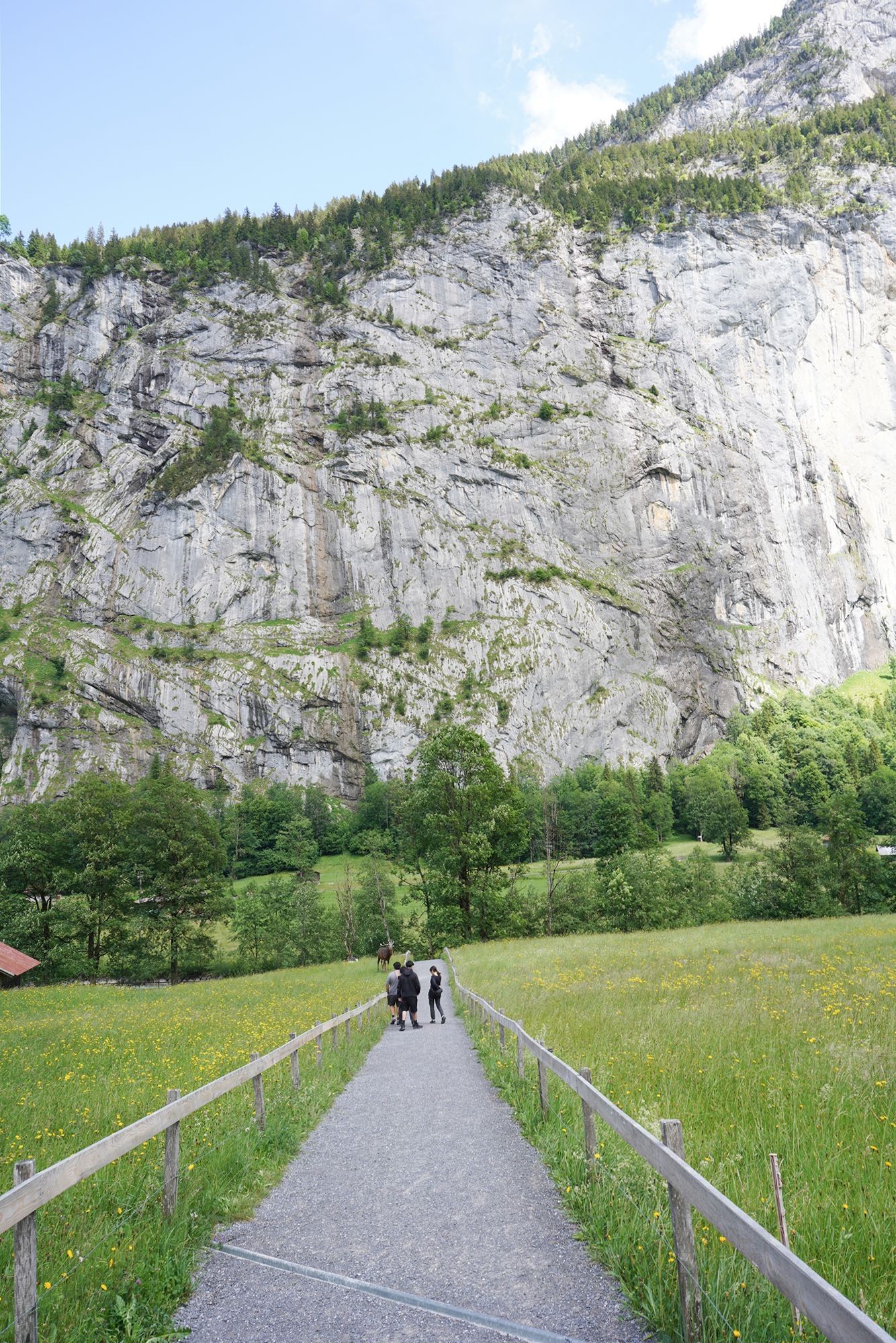 Hike Down to Lauterbrunnen (203) Hike Down to Lauterbrunnen (203)