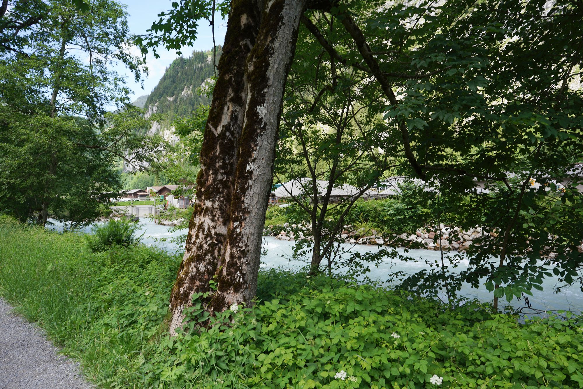Hike Down to Lauterbrunnen (214) Hike Down to Lauterbrunnen (214)