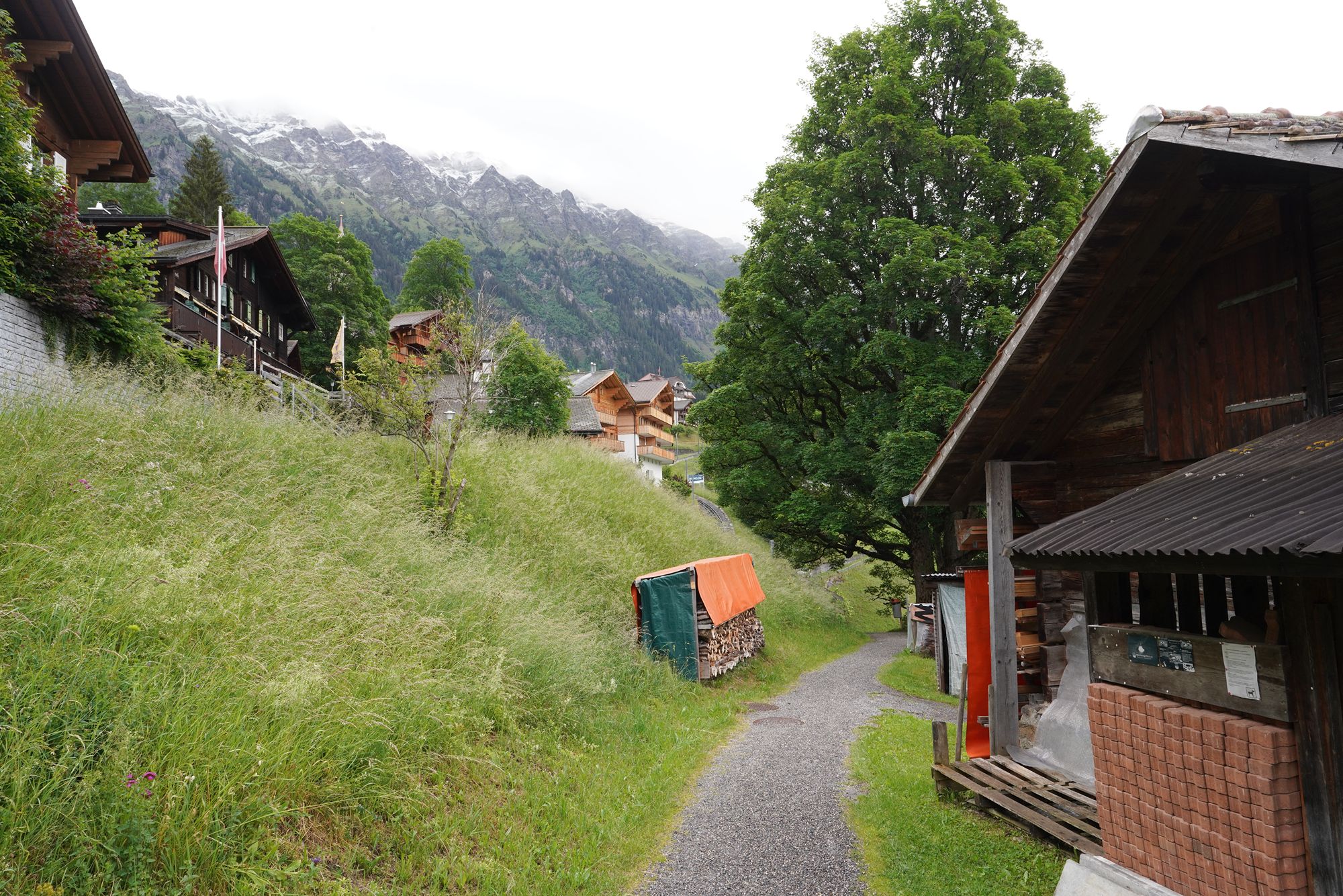 Hike Down to Lauterbrunnen (22) Hike Down to Lauterbrunnen (22)