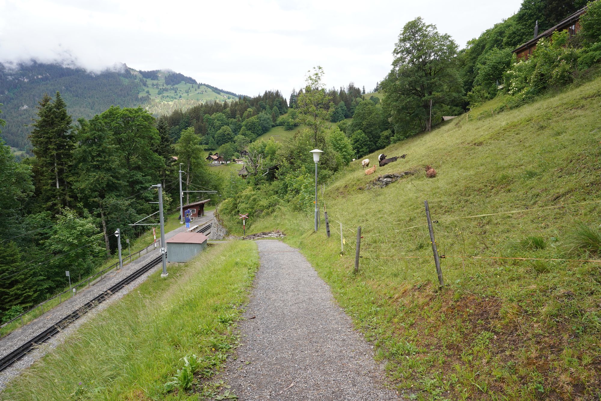 Hike Down to Lauterbrunnen (35) Hike Down to Lauterbrunnen (35)