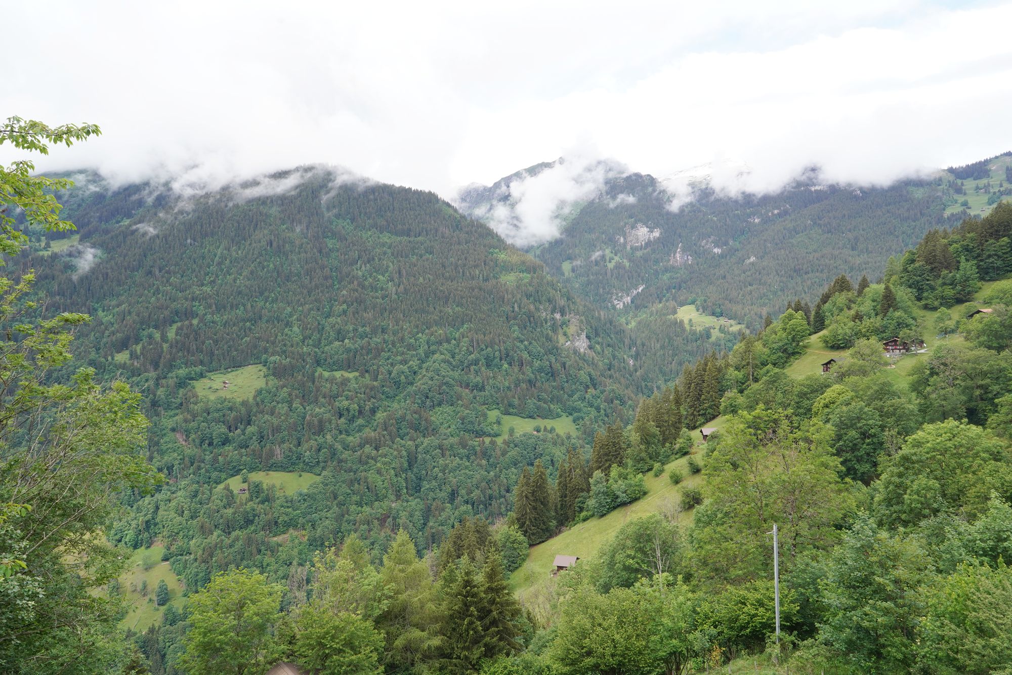 Hike Down to Lauterbrunnen (39) Hike Down to Lauterbrunnen (39)