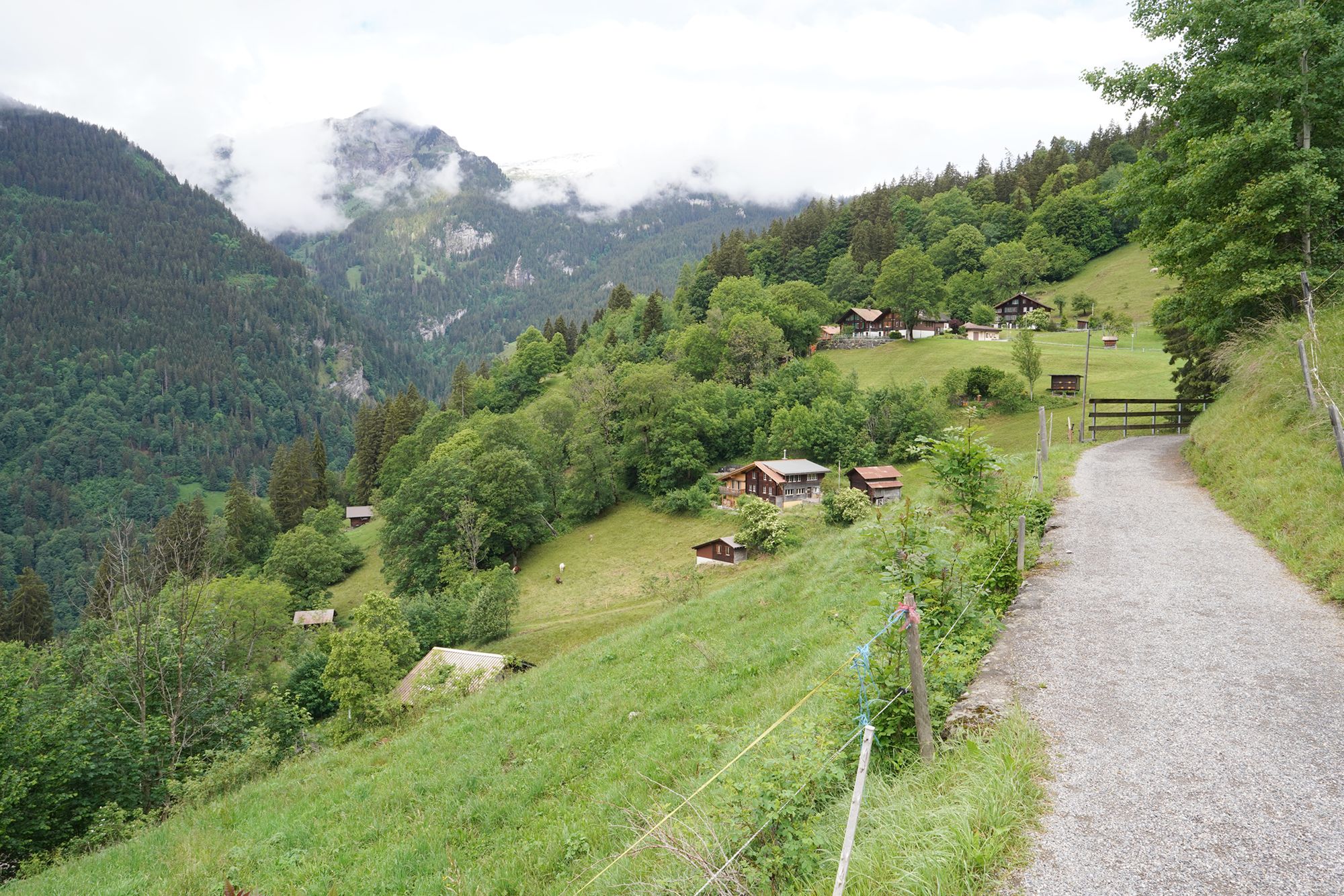 Hike Down to Lauterbrunnen (42) Hike Down to Lauterbrunnen (42)