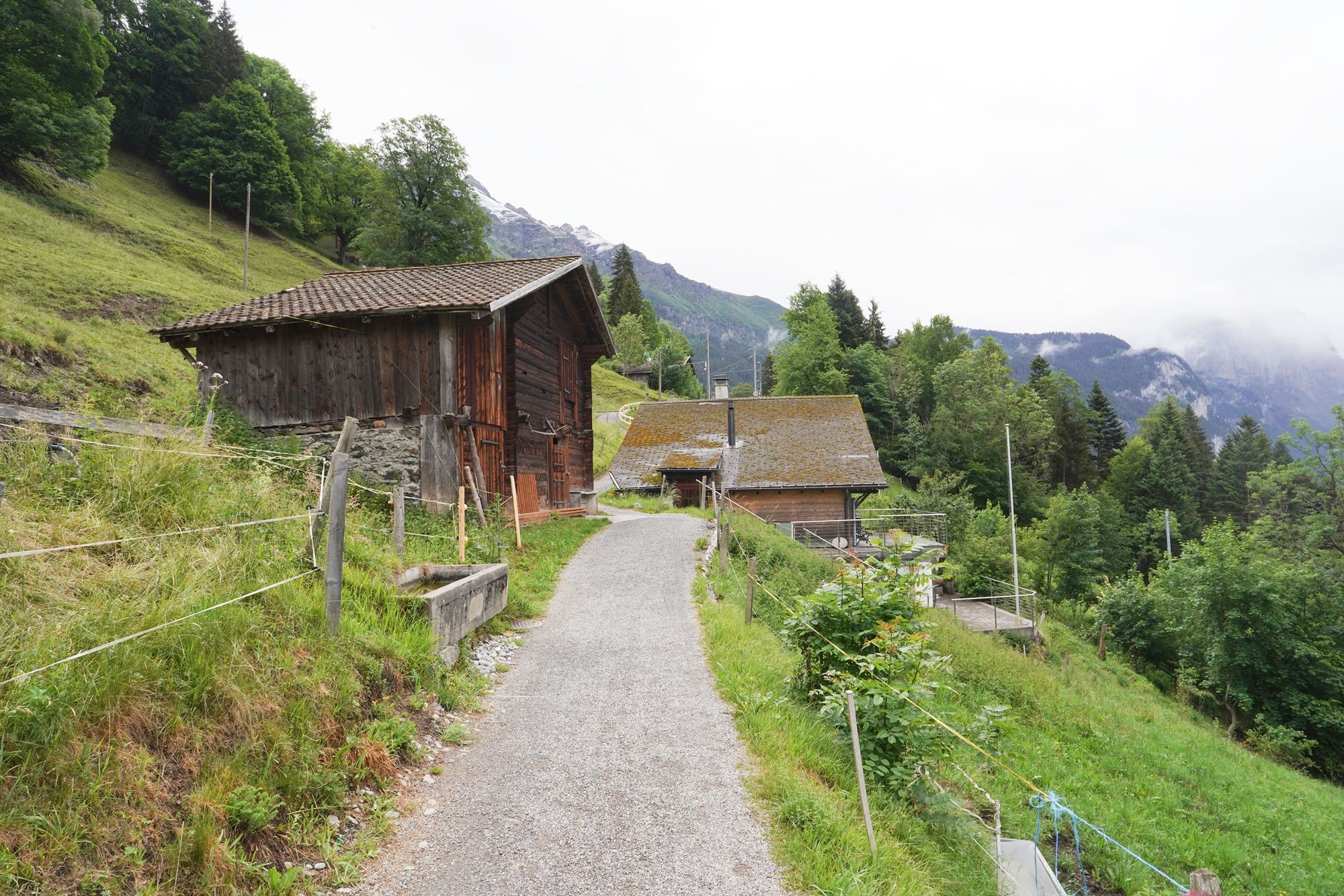 Hike Down to Lauterbrunnen (44) Hike Down to Lauterbrunnen (44)