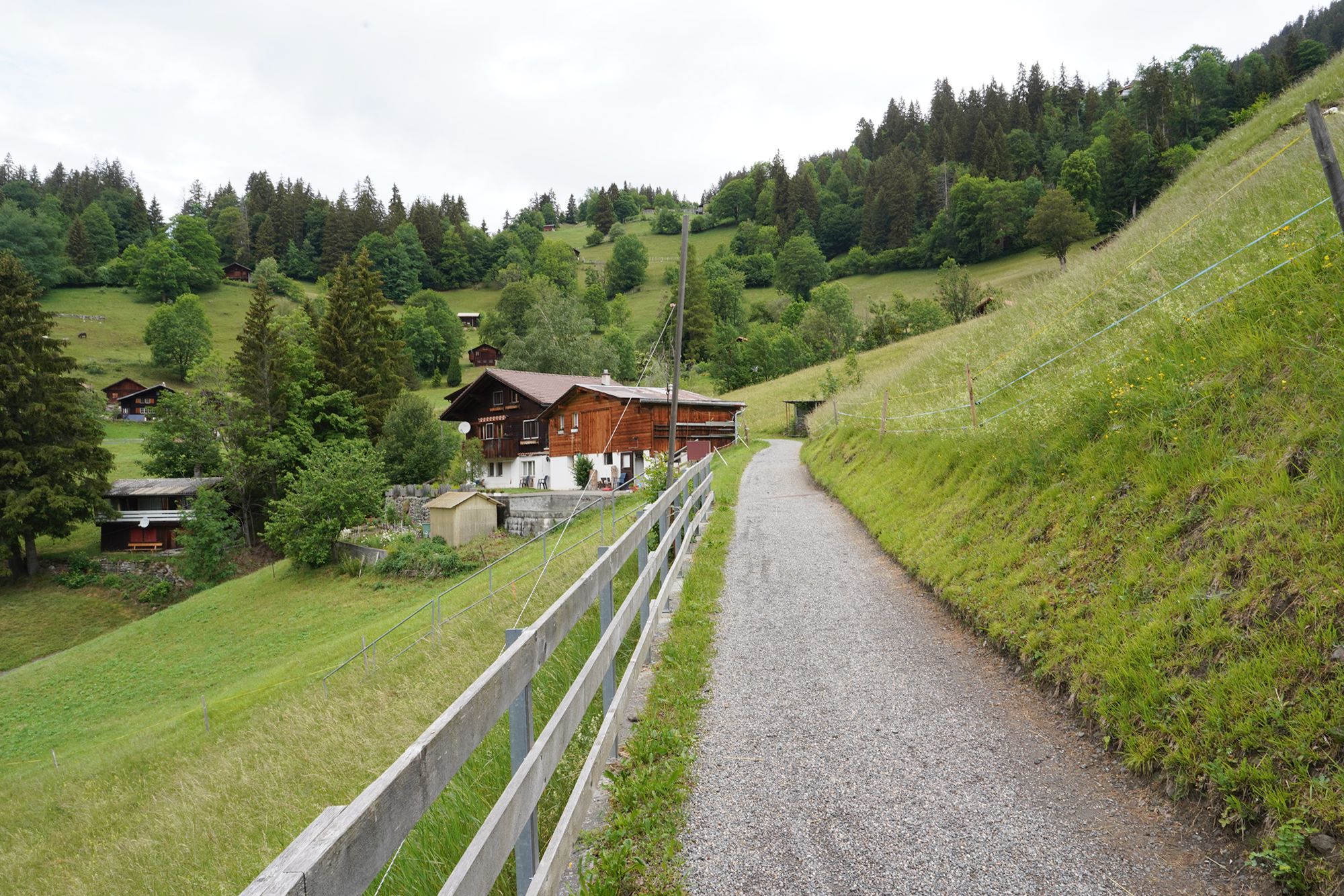 Hike Down to Lauterbrunnen (46) Hike Down to Lauterbrunnen (46)