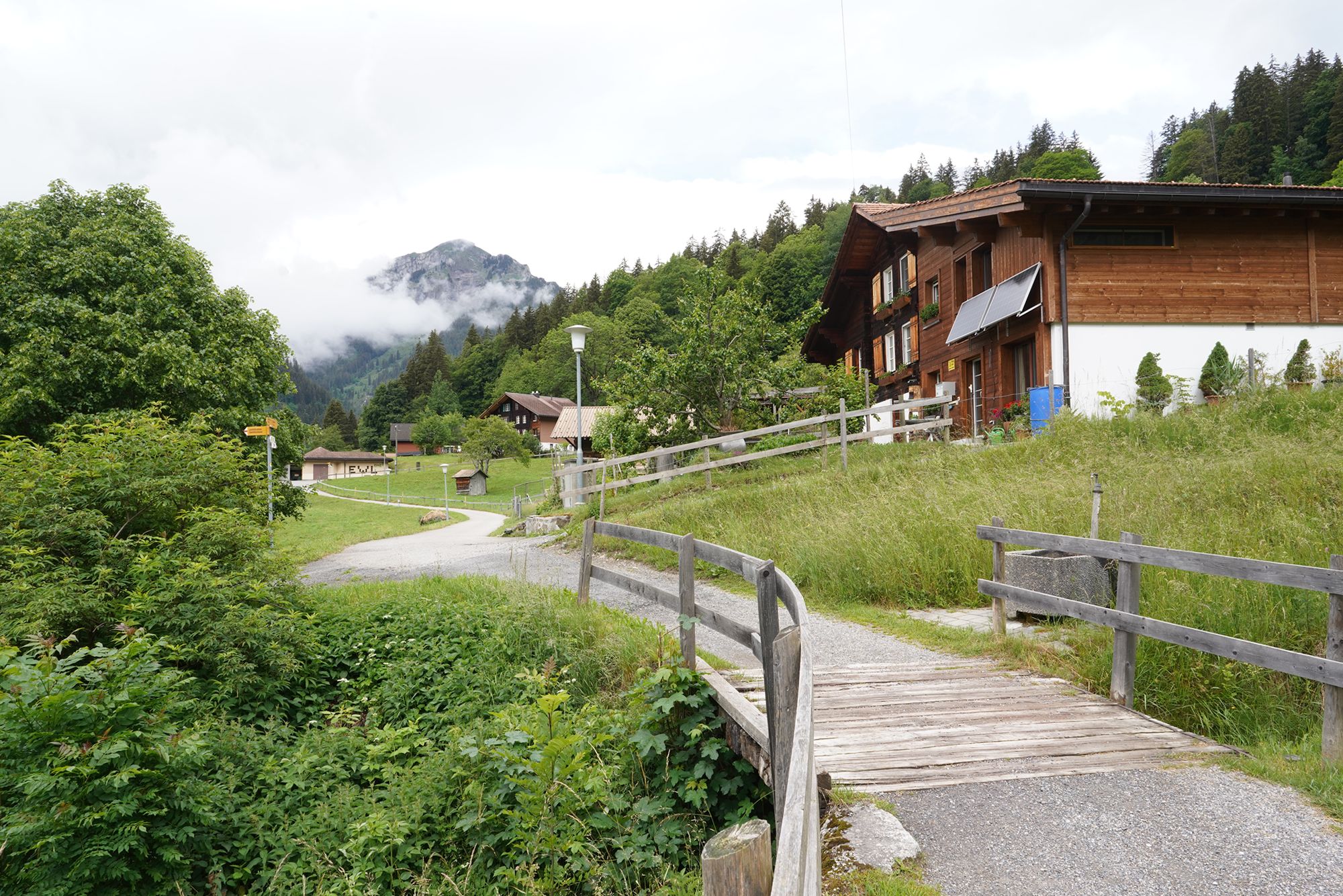 Hike Down to Lauterbrunnen (49) Hike Down to Lauterbrunnen (49)