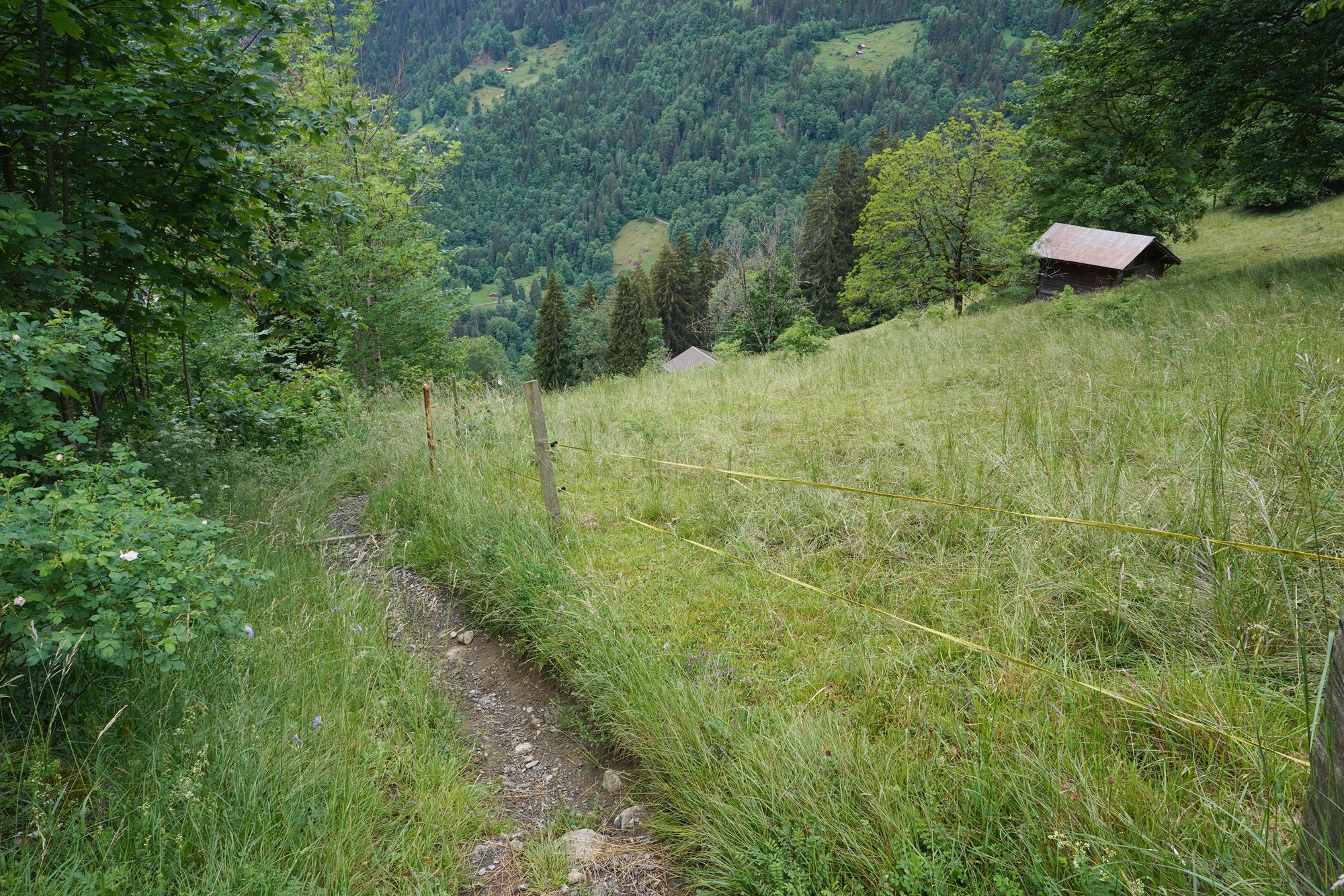 Hike Down to Lauterbrunnen (56) Hike Down to Lauterbrunnen (56)
