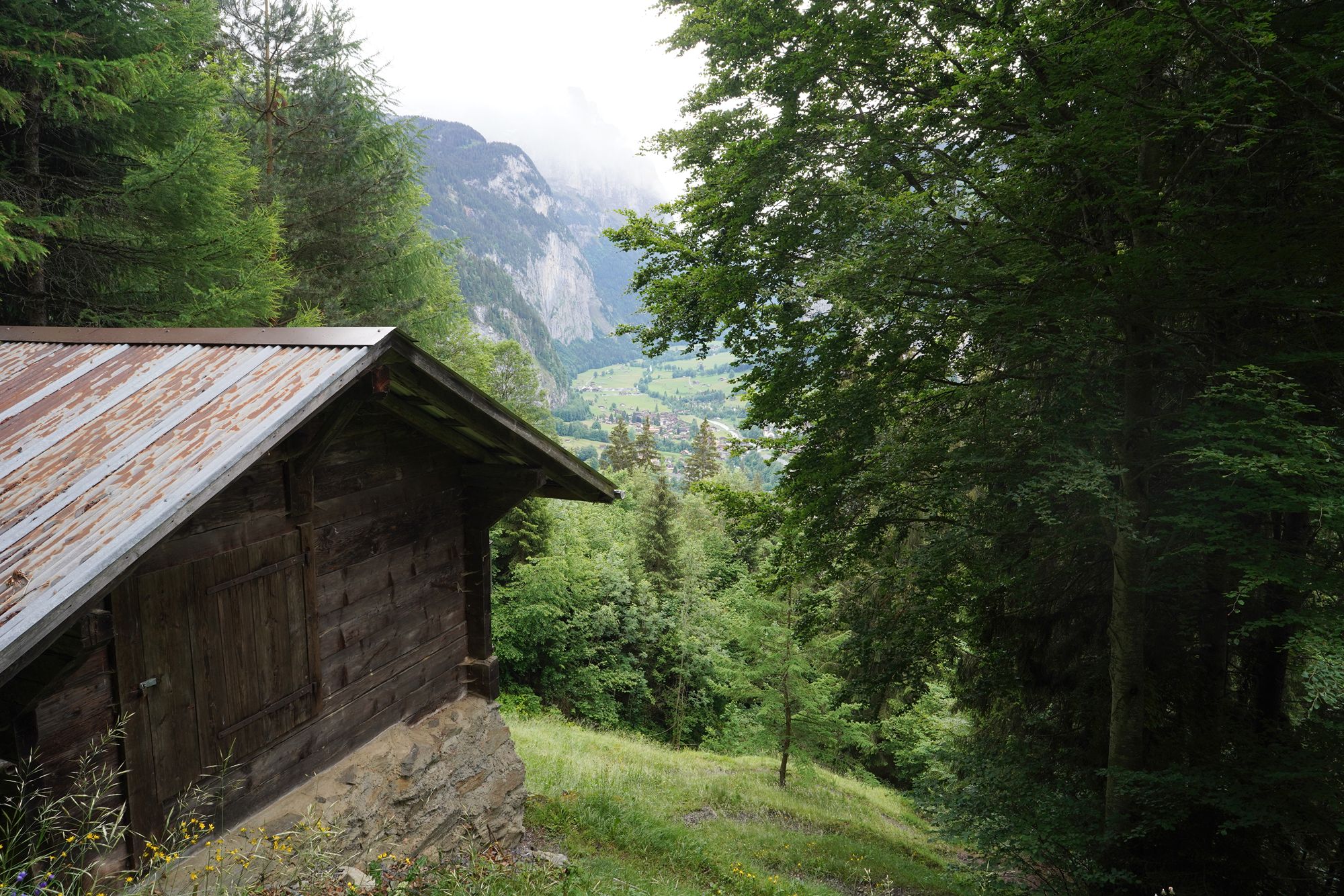Hike Down to Lauterbrunnen (62) Hike Down to Lauterbrunnen (62)