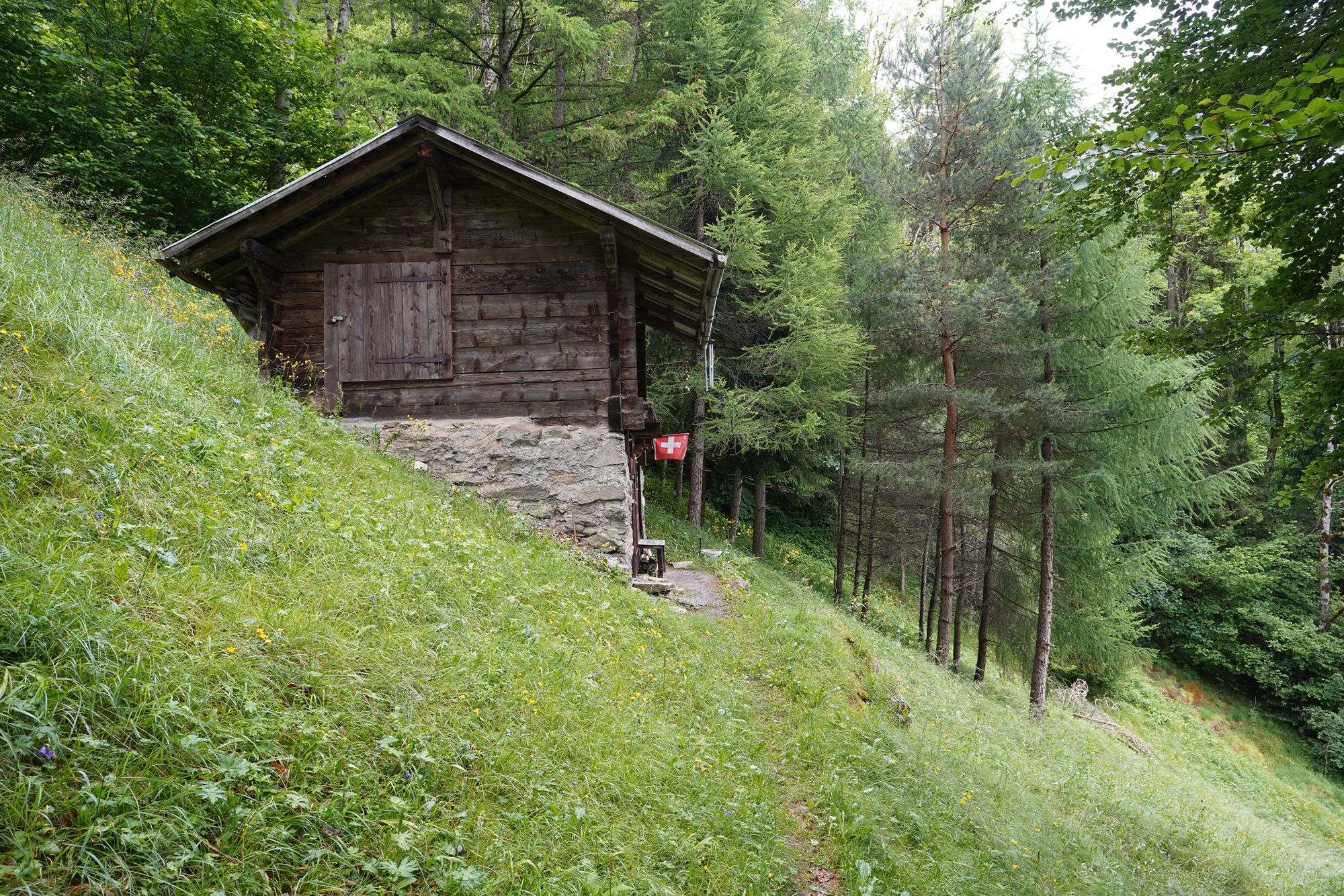 Hike Down to Lauterbrunnen (65) Hike Down to Lauterbrunnen (65)