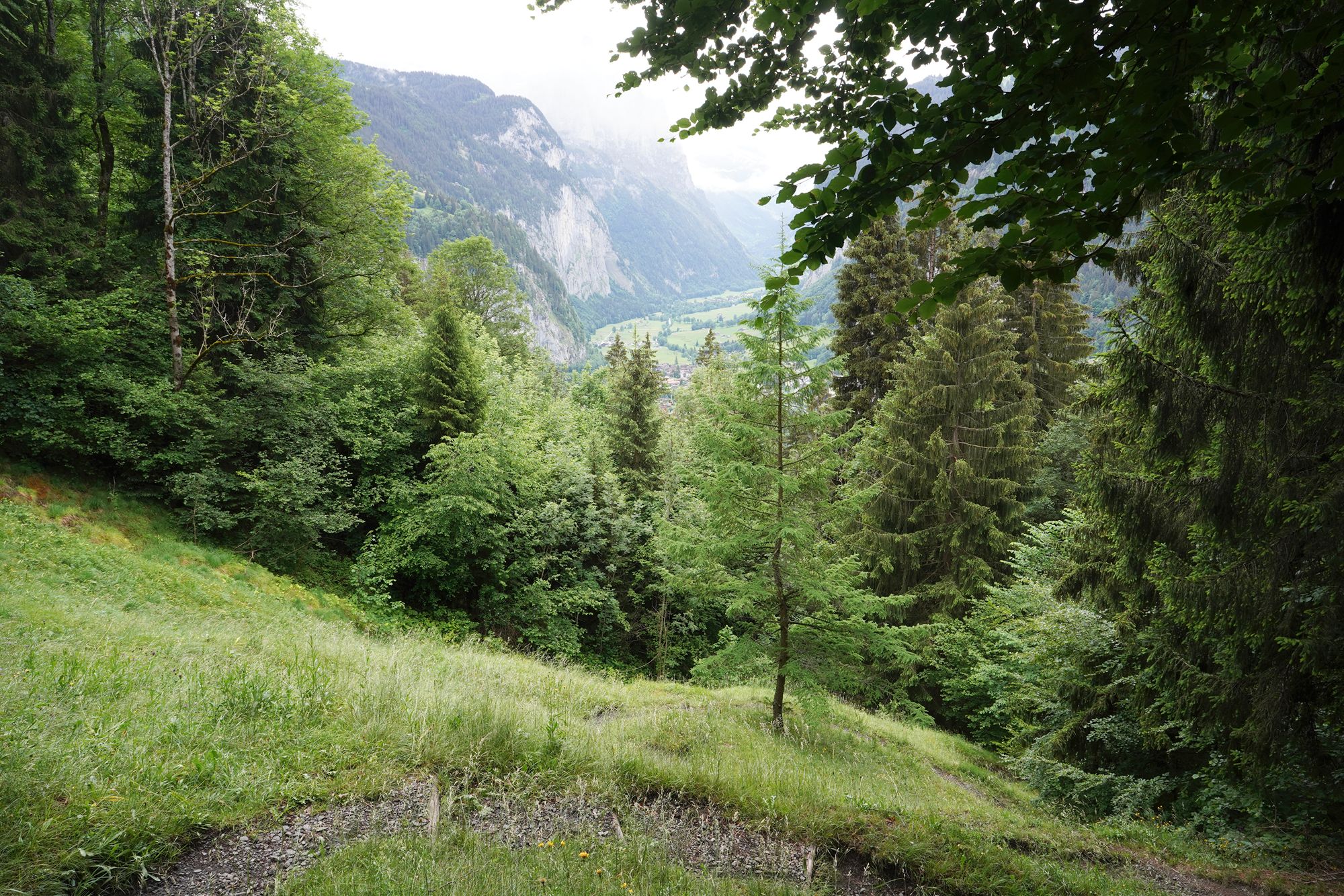 Hike Down to Lauterbrunnen (67) Hike Down to Lauterbrunnen (67)