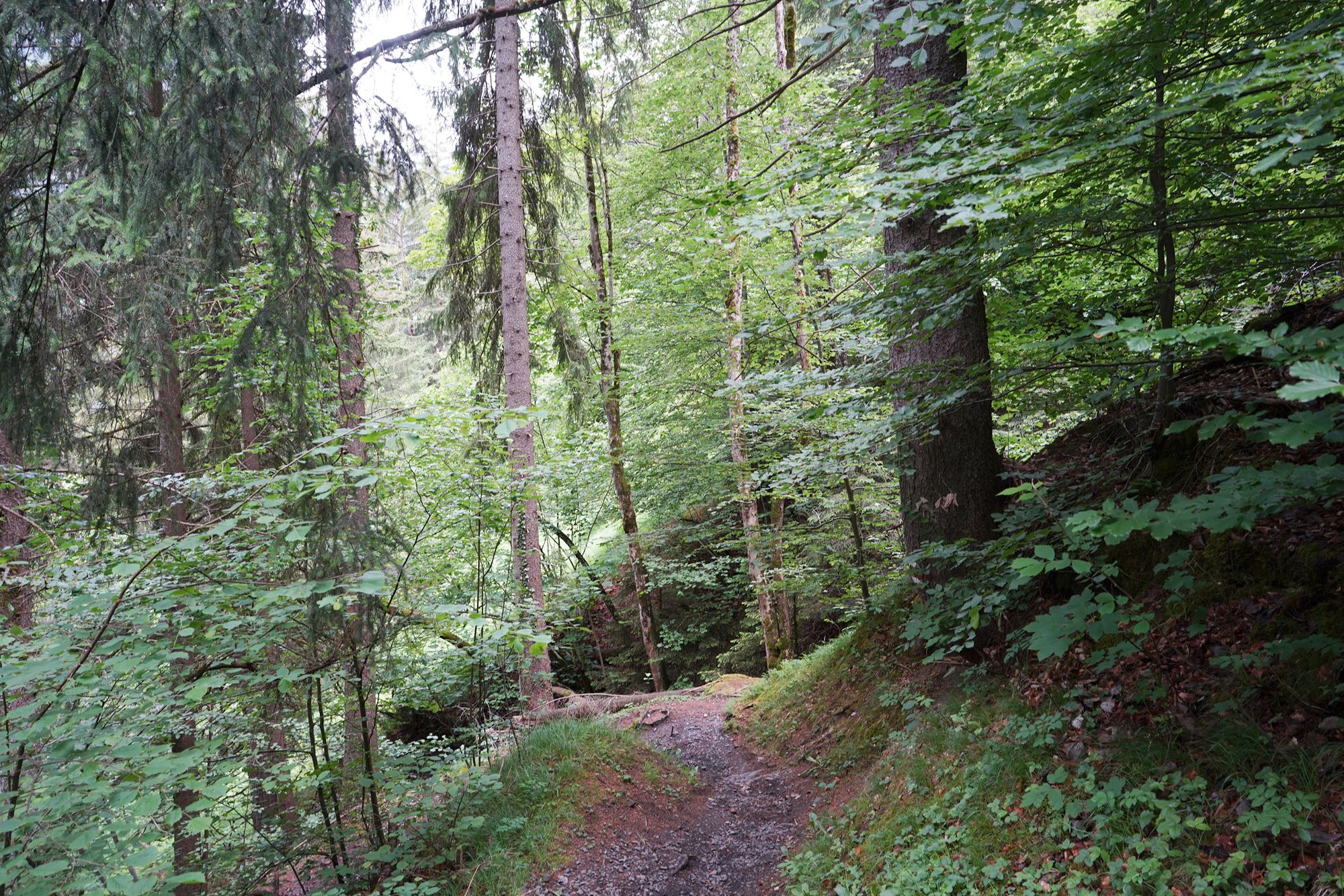Hike Down to Lauterbrunnen (70) Hike Down to Lauterbrunnen (70)