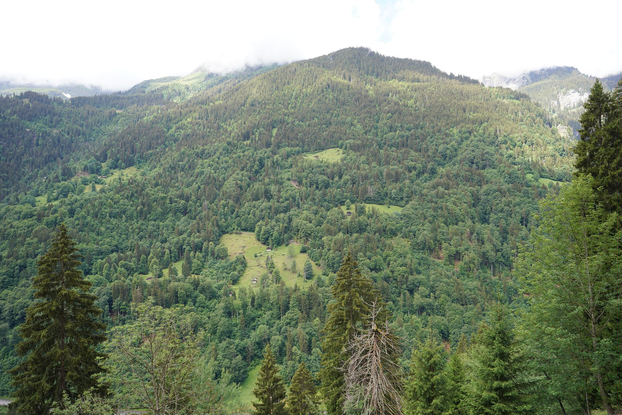 Hike Down to Lauterbrunnen (73) Hike Down to Lauterbrunnen (73)
