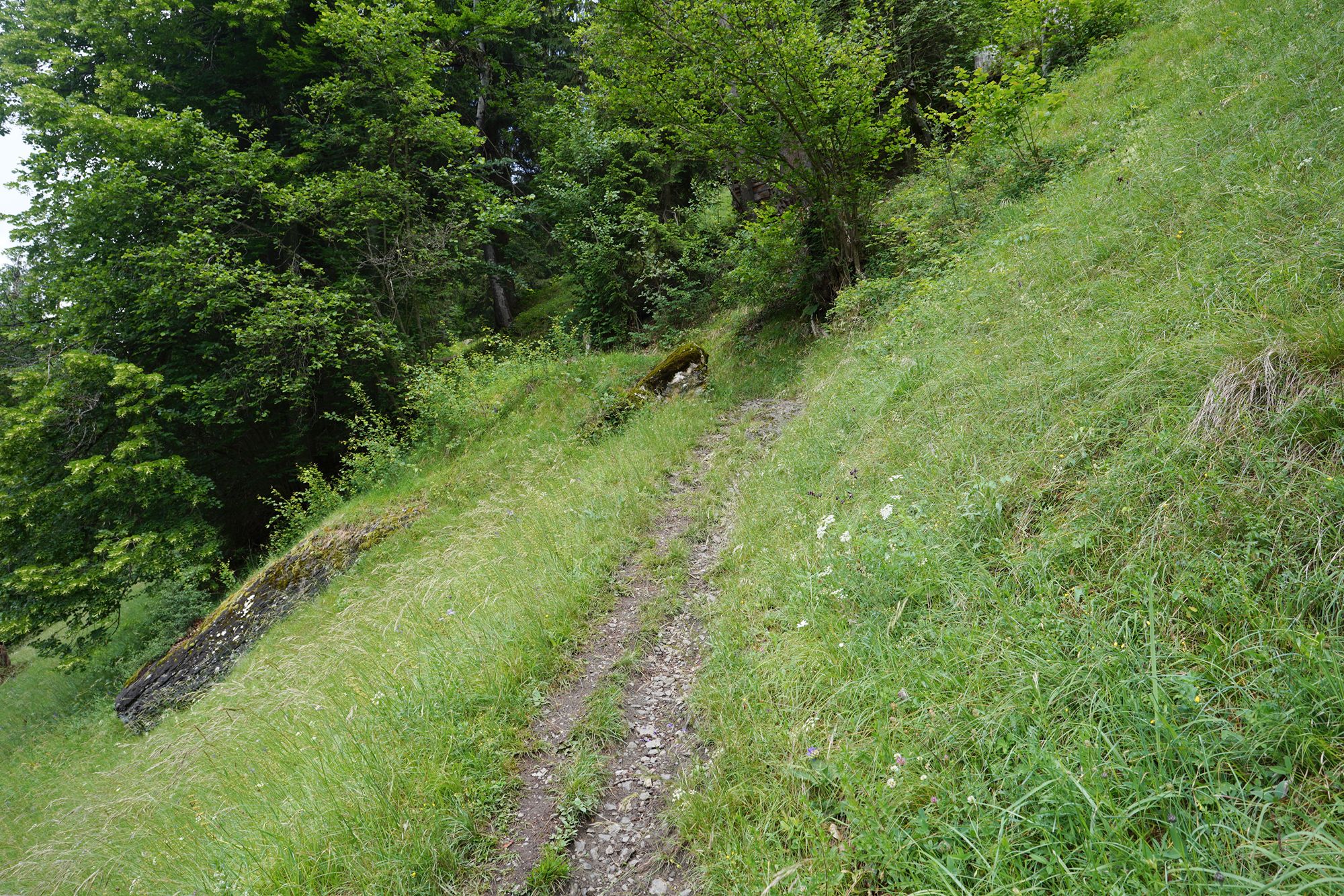 Hike Down to Lauterbrunnen (76) Hike Down to Lauterbrunnen (76)