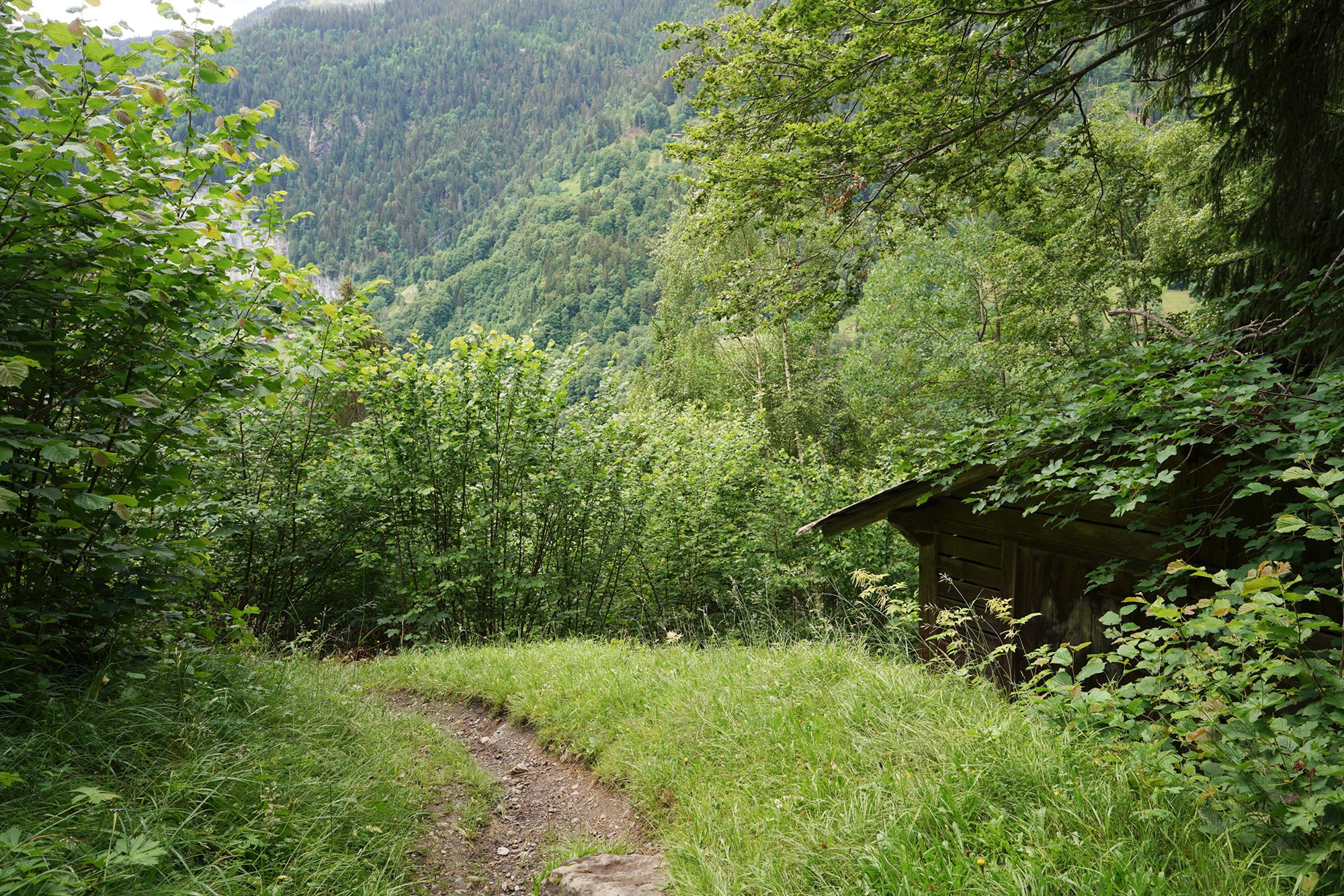 Hike Down to Lauterbrunnen (78) Hike Down to Lauterbrunnen (78)