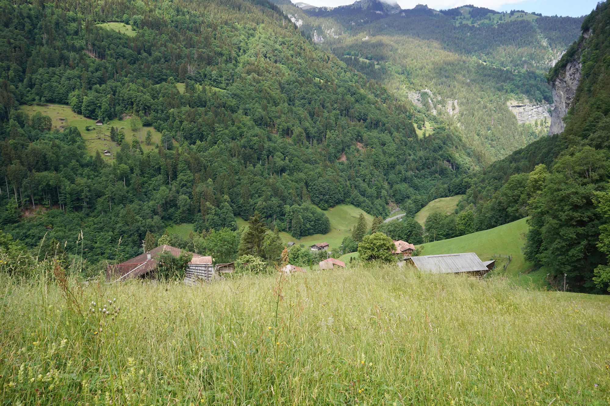Hike Down to Lauterbrunnen (86) Hike Down to Lauterbrunnen (86)