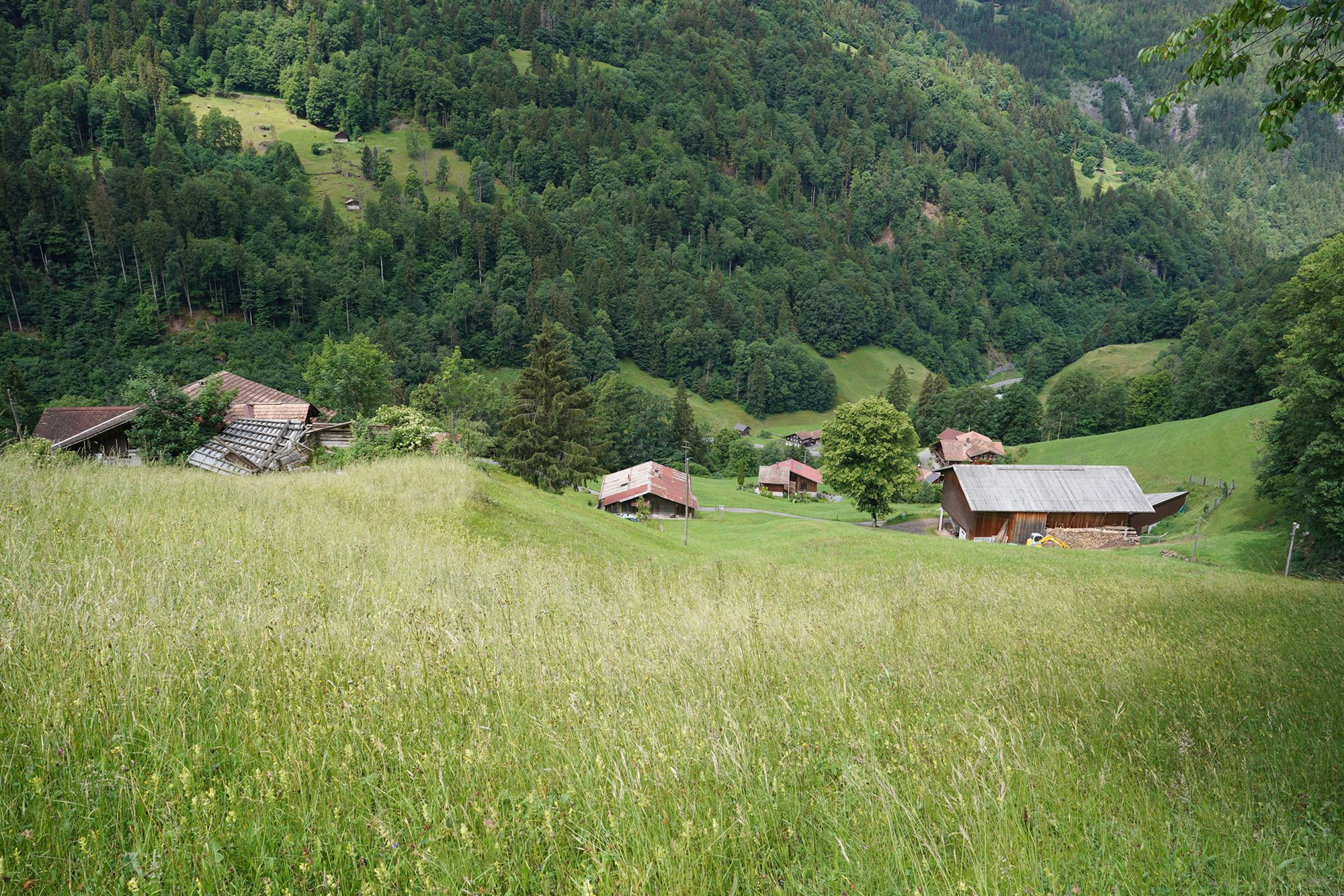 Hike Down to Lauterbrunnen (87) Hike Down to Lauterbrunnen (87)