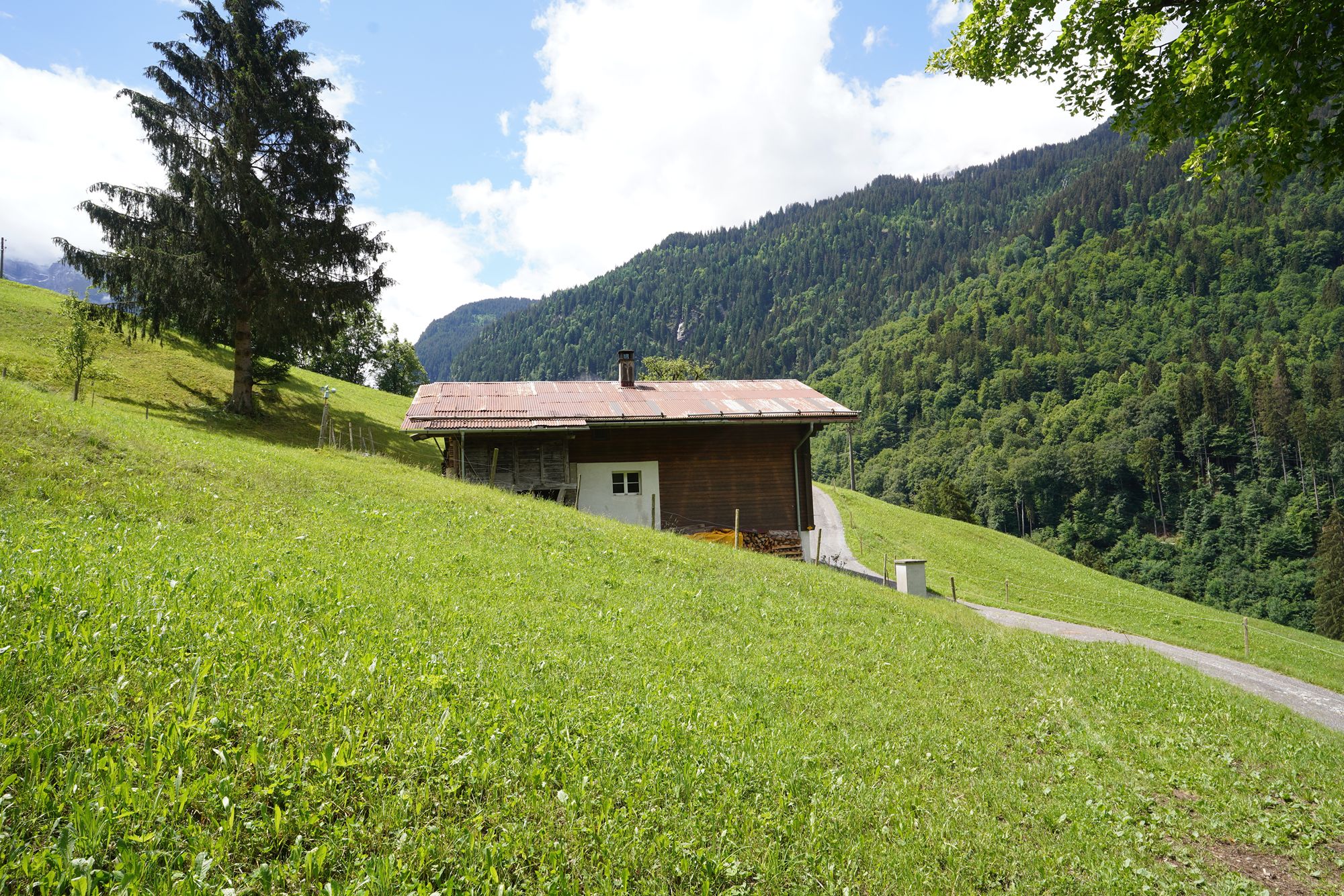 Hike Down to Lauterbrunnen (92) Hike Down to Lauterbrunnen (92)