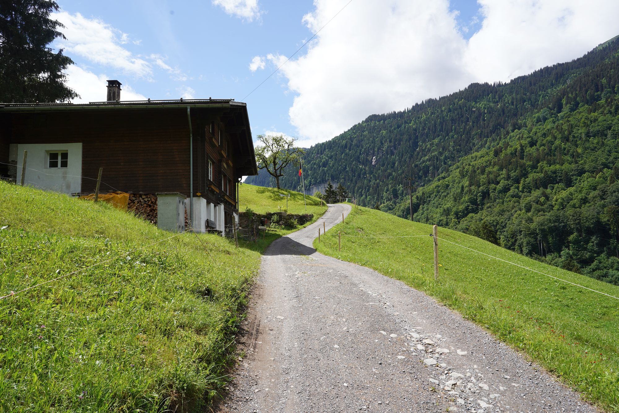 Hike Down to Lauterbrunnen (96) Hike Down to Lauterbrunnen (96)