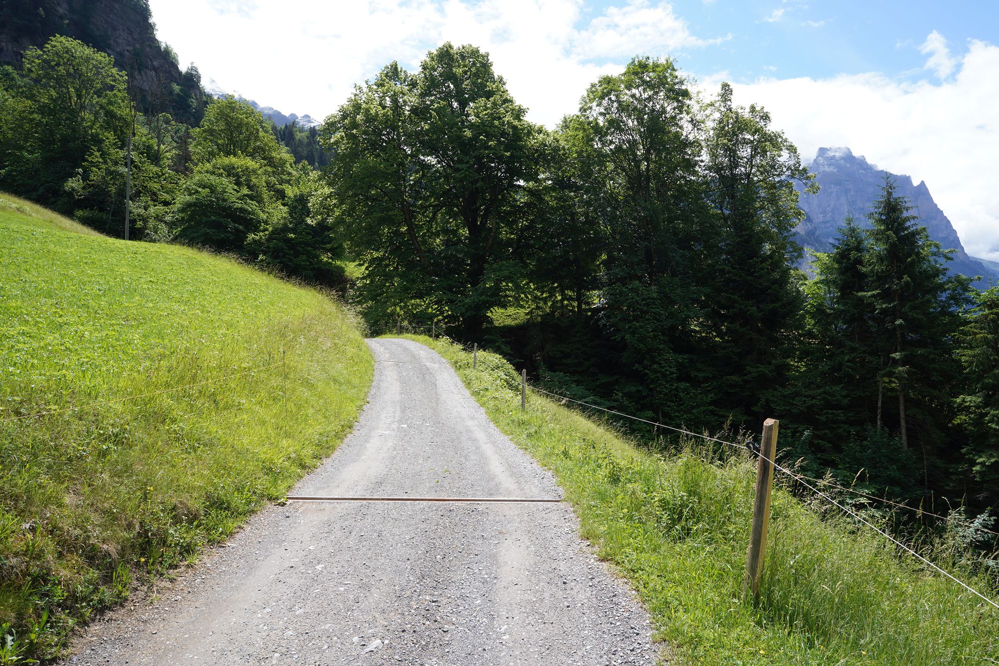 Hike Down to Lauterbrunnen (98) Hike Down to Lauterbrunnen (98)