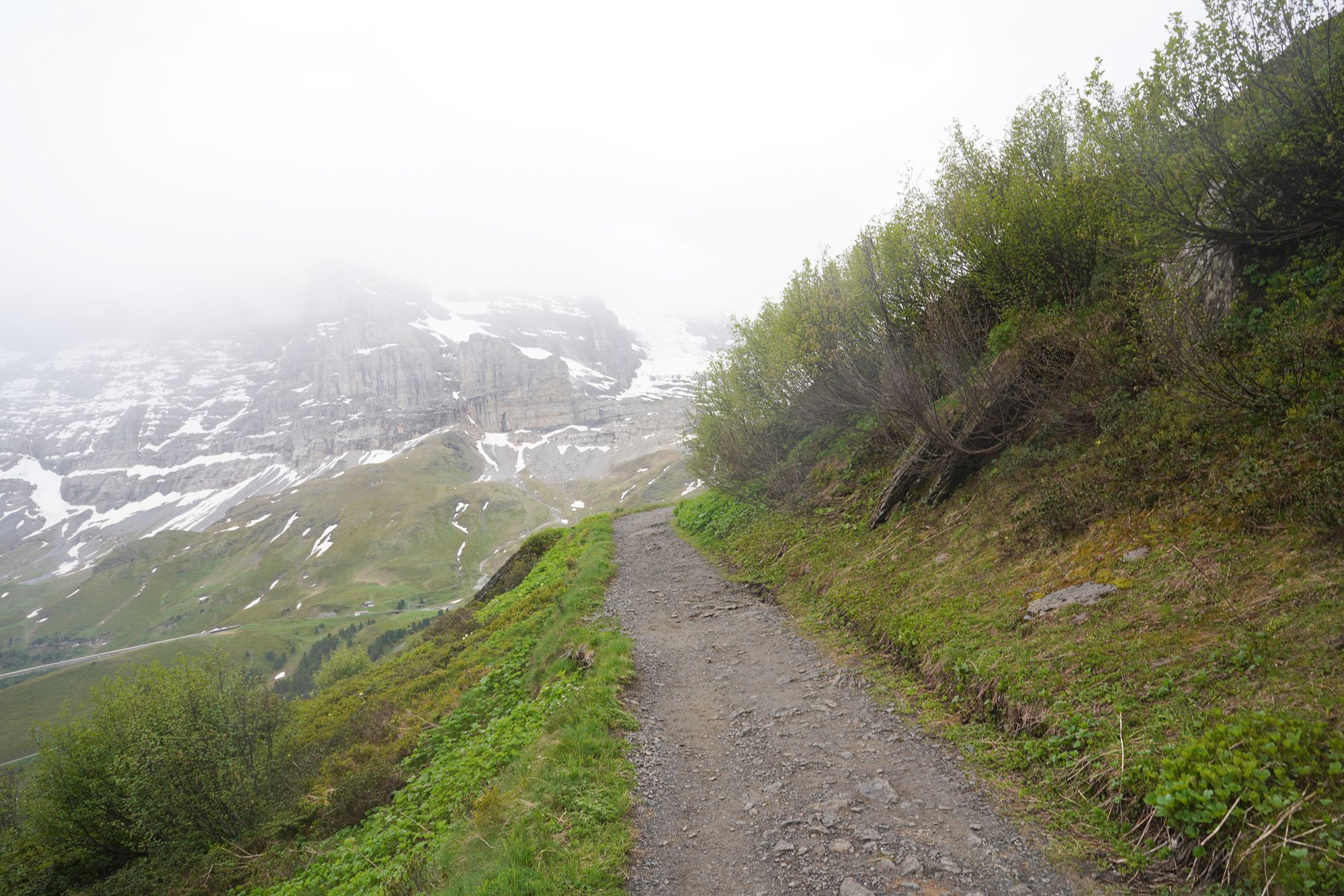 Hike Männlichen to Kleine Scheidegg (123) Hike Männlichen to Kleine Scheidegg (123)