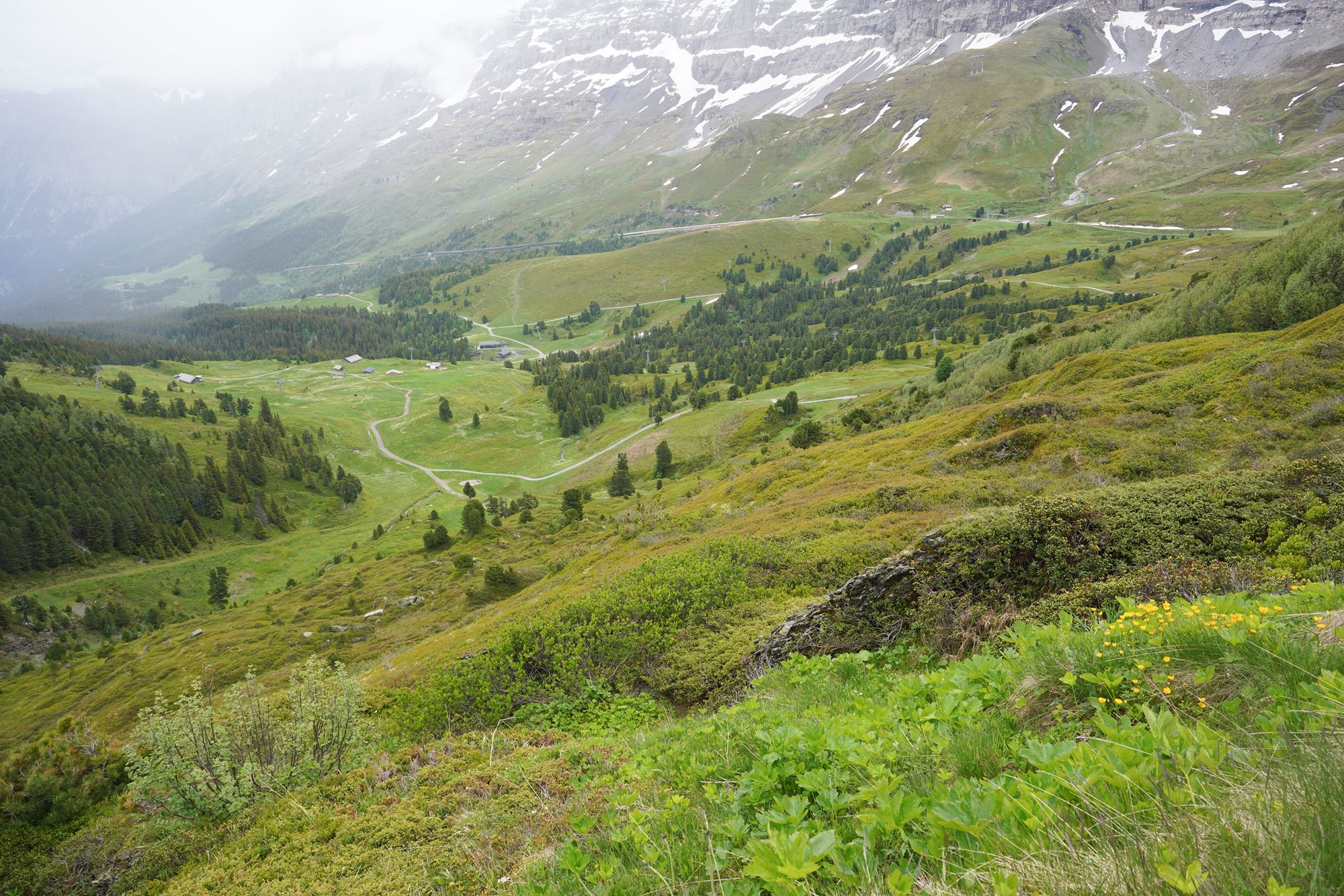 Hike Männlichen to Kleine Scheidegg (126) Hike Männlichen to Kleine Scheidegg (126)