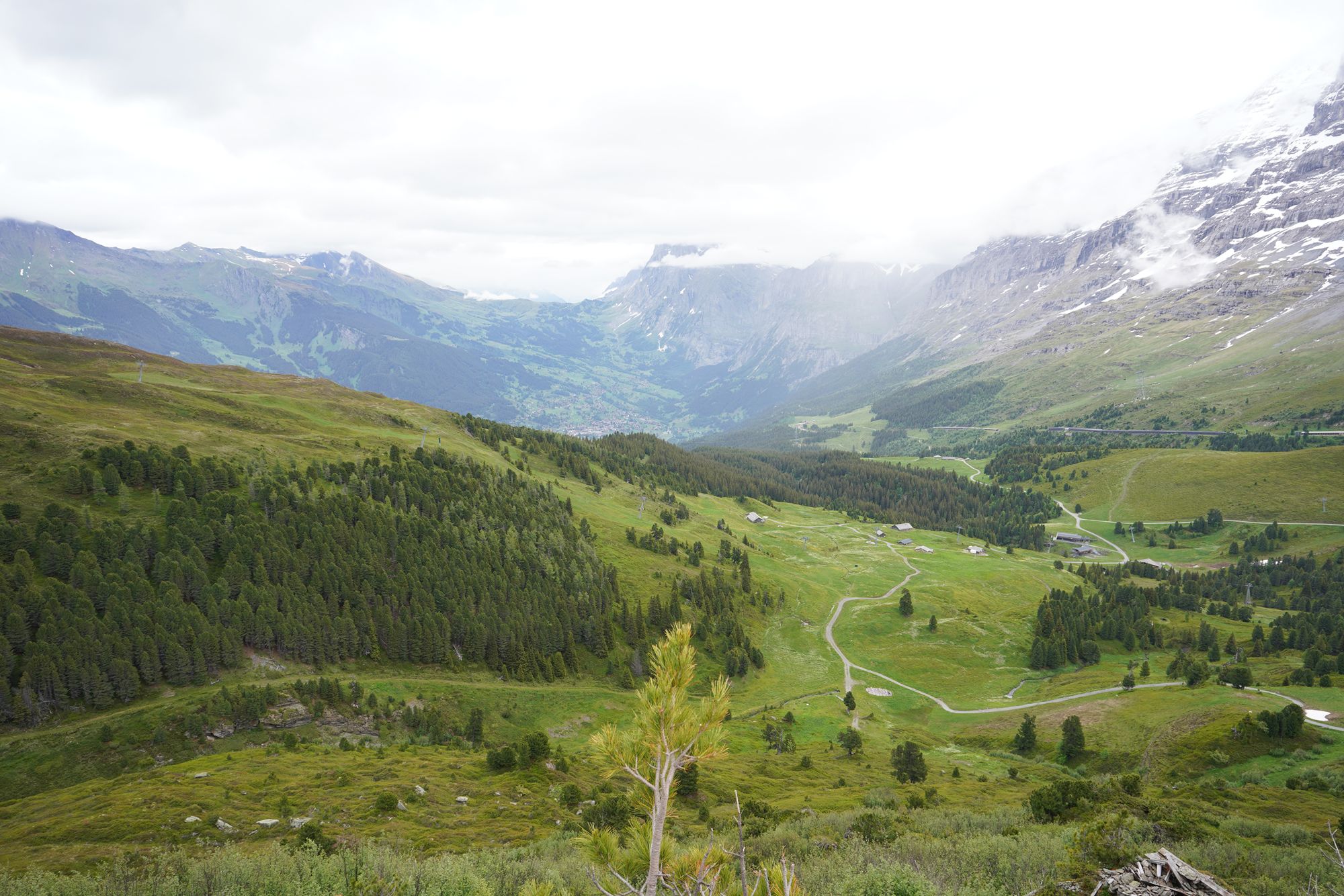 Hike Männlichen to Kleine Scheidegg (133) Hike Männlichen to Kleine Scheidegg (133)