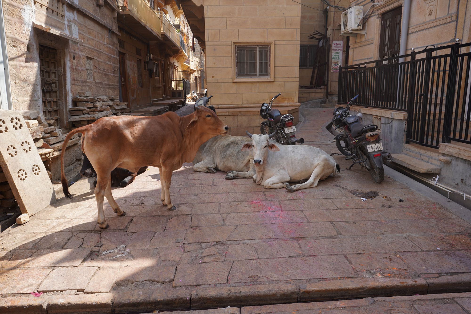 Jaisalmer and Thar Desert (112)