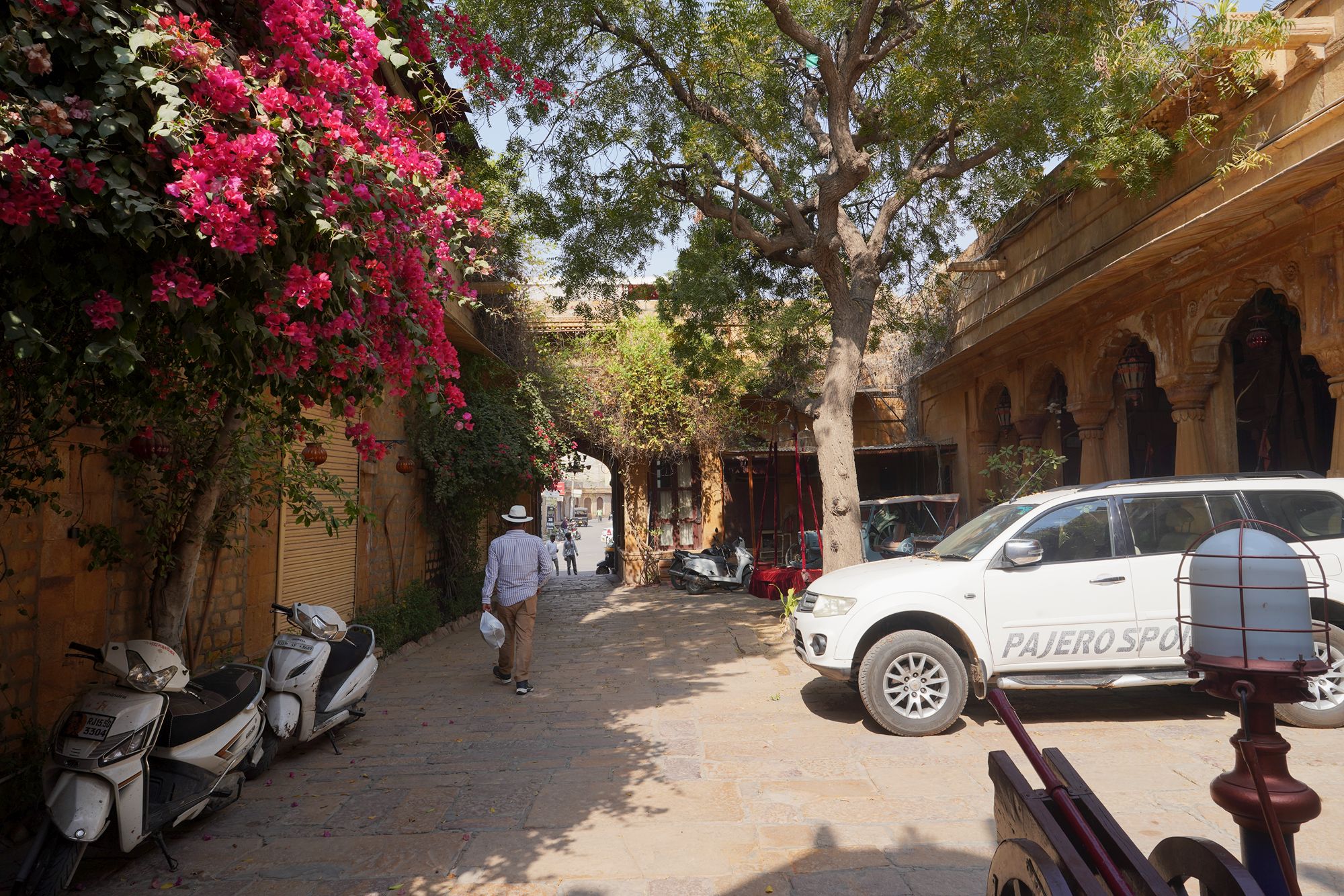 Jaisalmer and Thar Desert (123) Jaisalmer and Thar Desert (123)