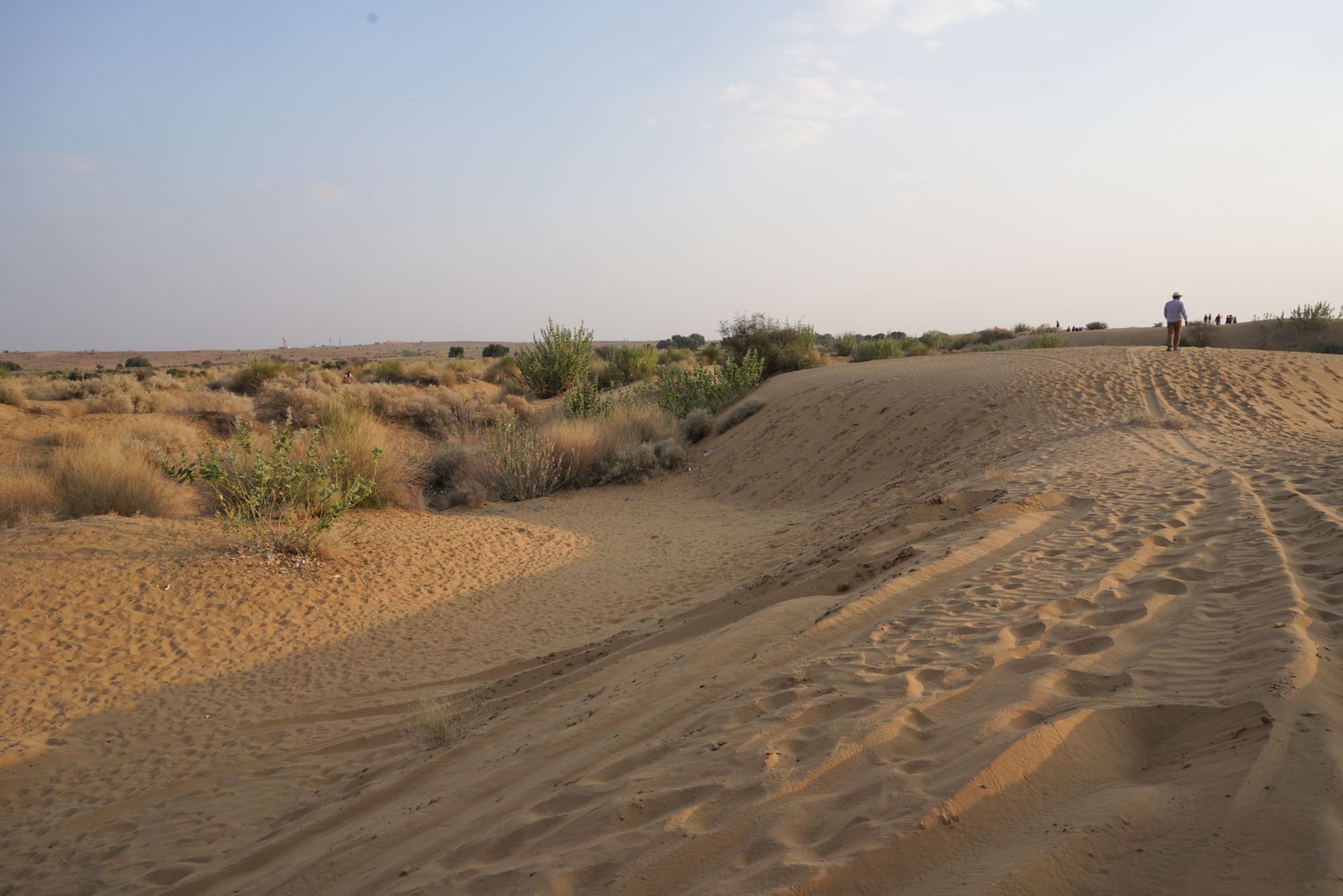 Jaisalmer and Thar Desert (124) Jaisalmer and Thar Desert (124)