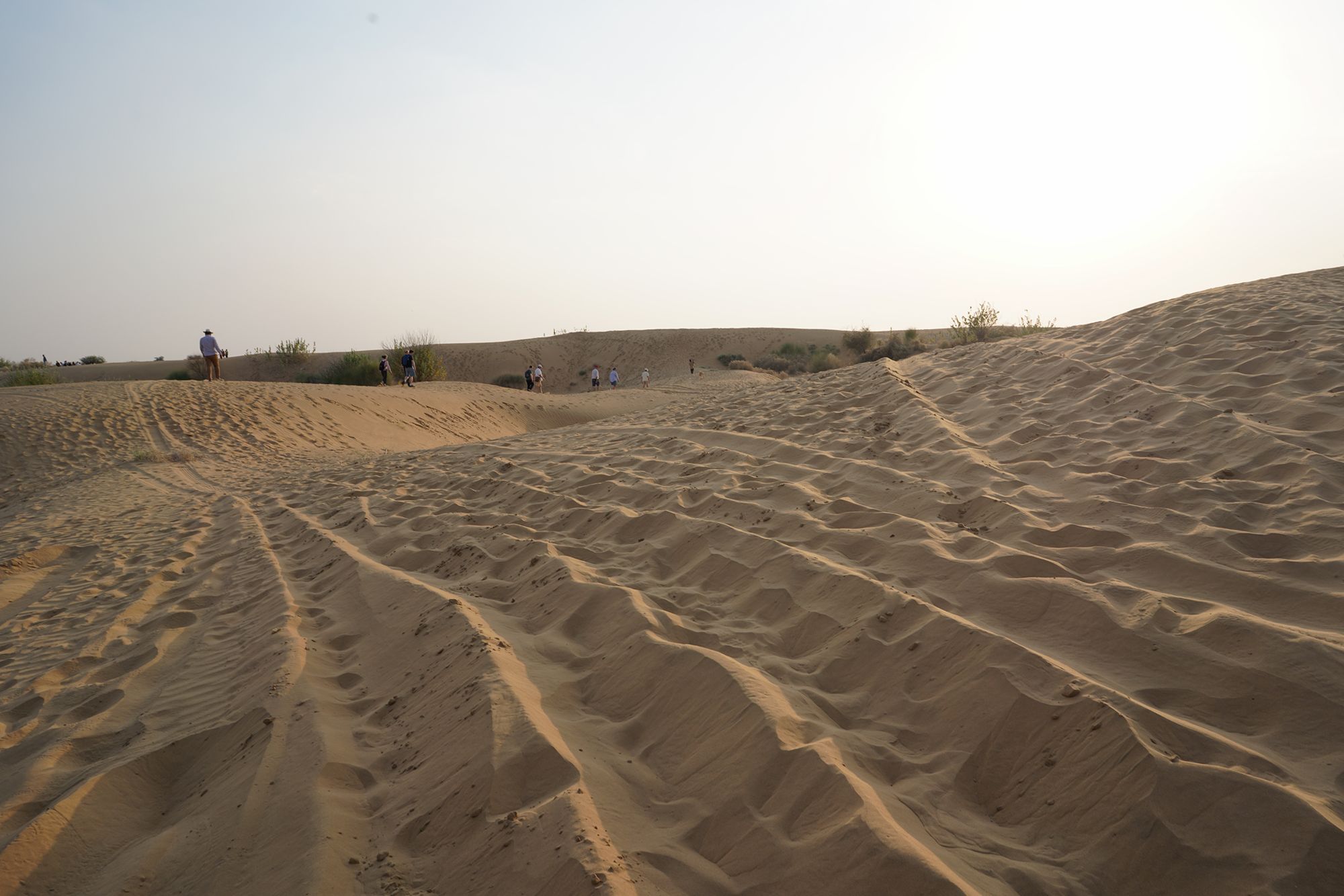 Jaisalmer and Thar Desert (126) Jaisalmer and Thar Desert (126)