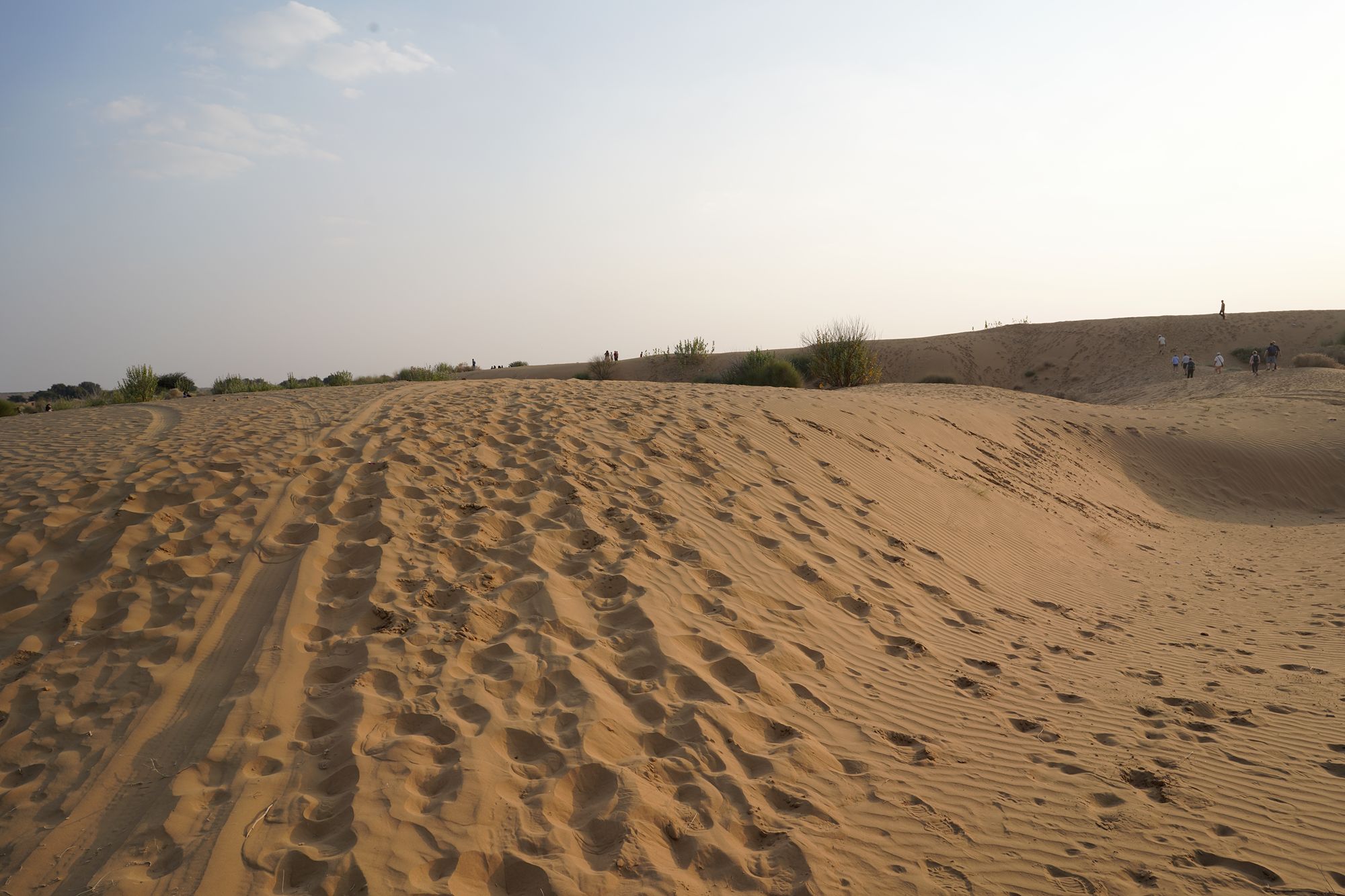 Jaisalmer and Thar Desert (127) Jaisalmer and Thar Desert (127)