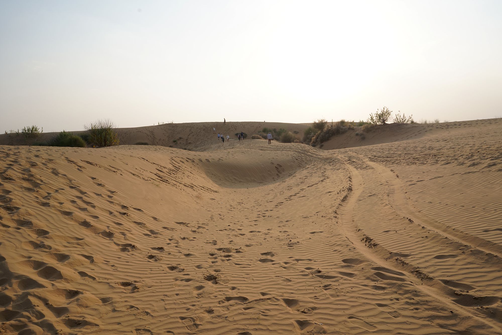 Jaisalmer and Thar Desert (128) Jaisalmer and Thar Desert (128)
