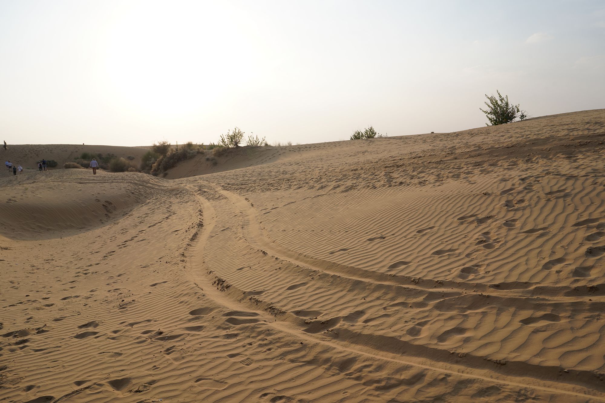 Jaisalmer and Thar Desert (129) Jaisalmer and Thar Desert (129)