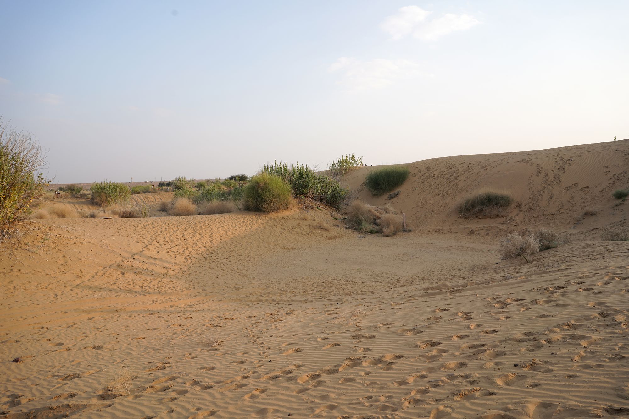 Jaisalmer and Thar Desert (130) Jaisalmer and Thar Desert (130)