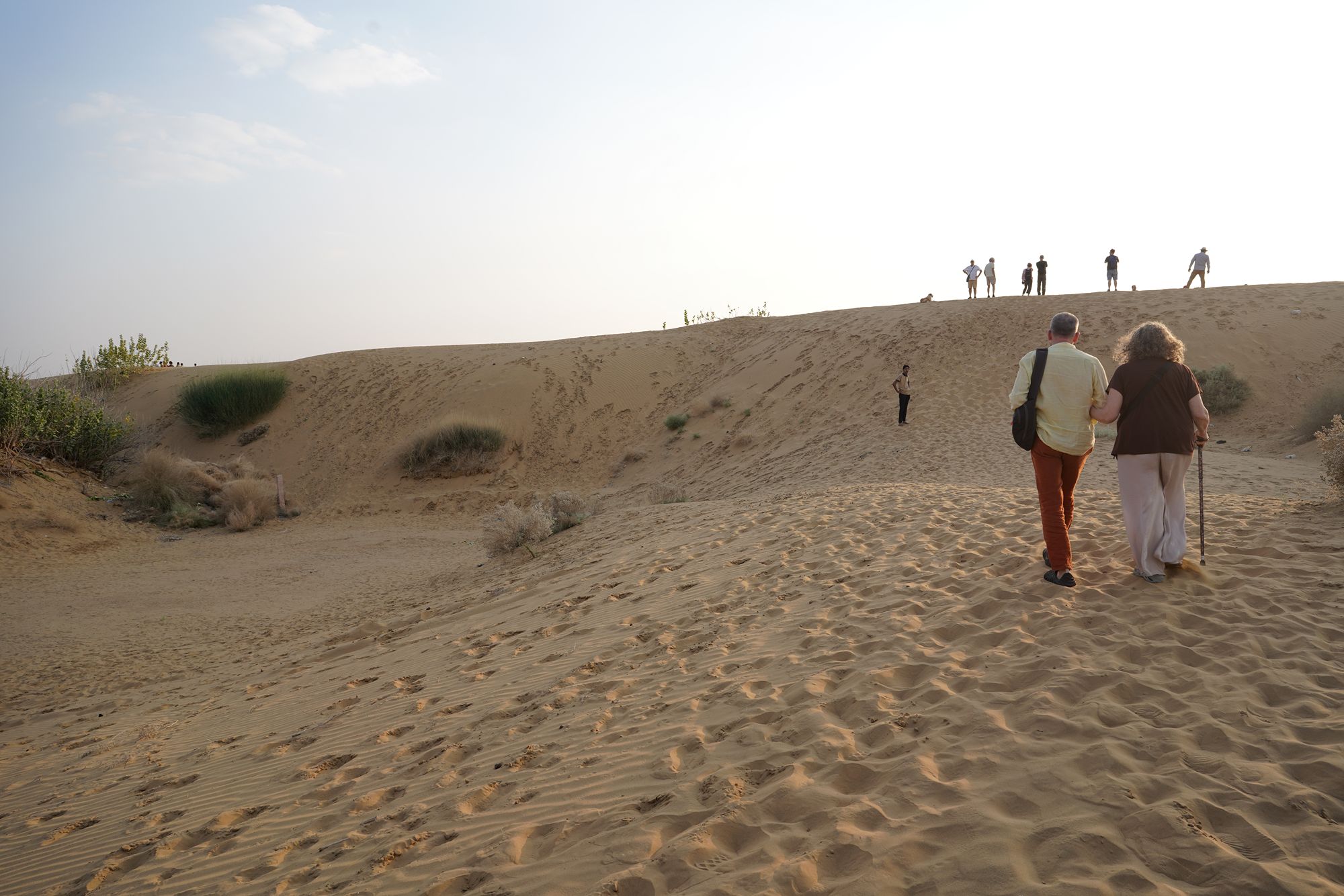 Jaisalmer and Thar Desert (131) Jaisalmer and Thar Desert (131)