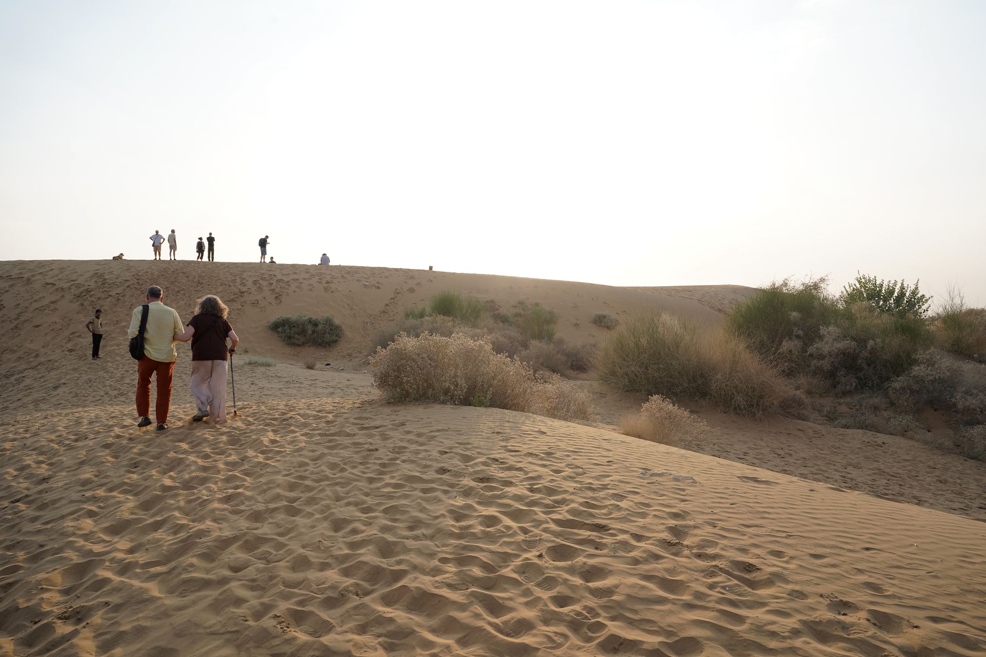 Jaisalmer and Thar Desert (133) Jaisalmer and Thar Desert (133)