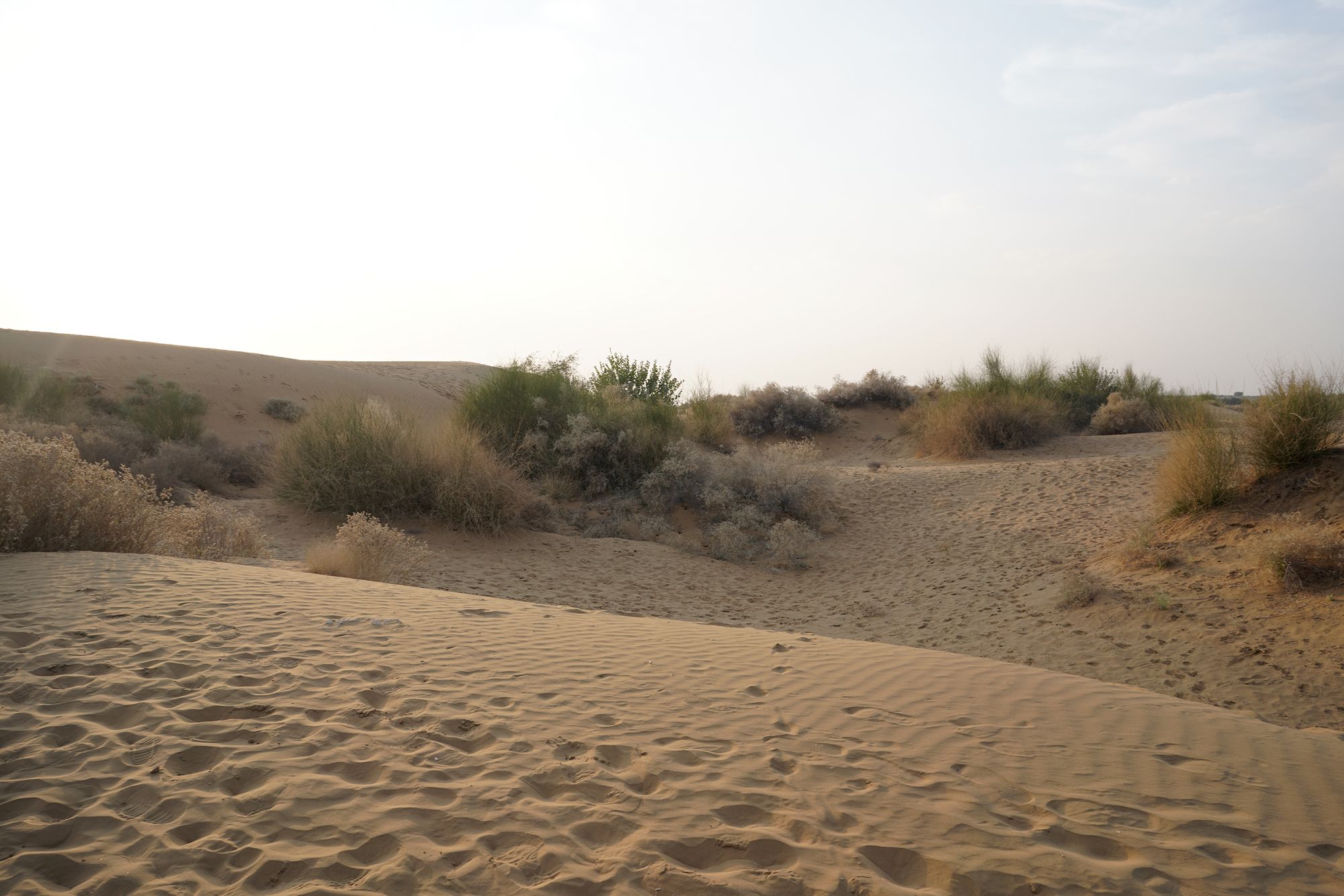 Jaisalmer and Thar Desert (134) Jaisalmer and Thar Desert (134)