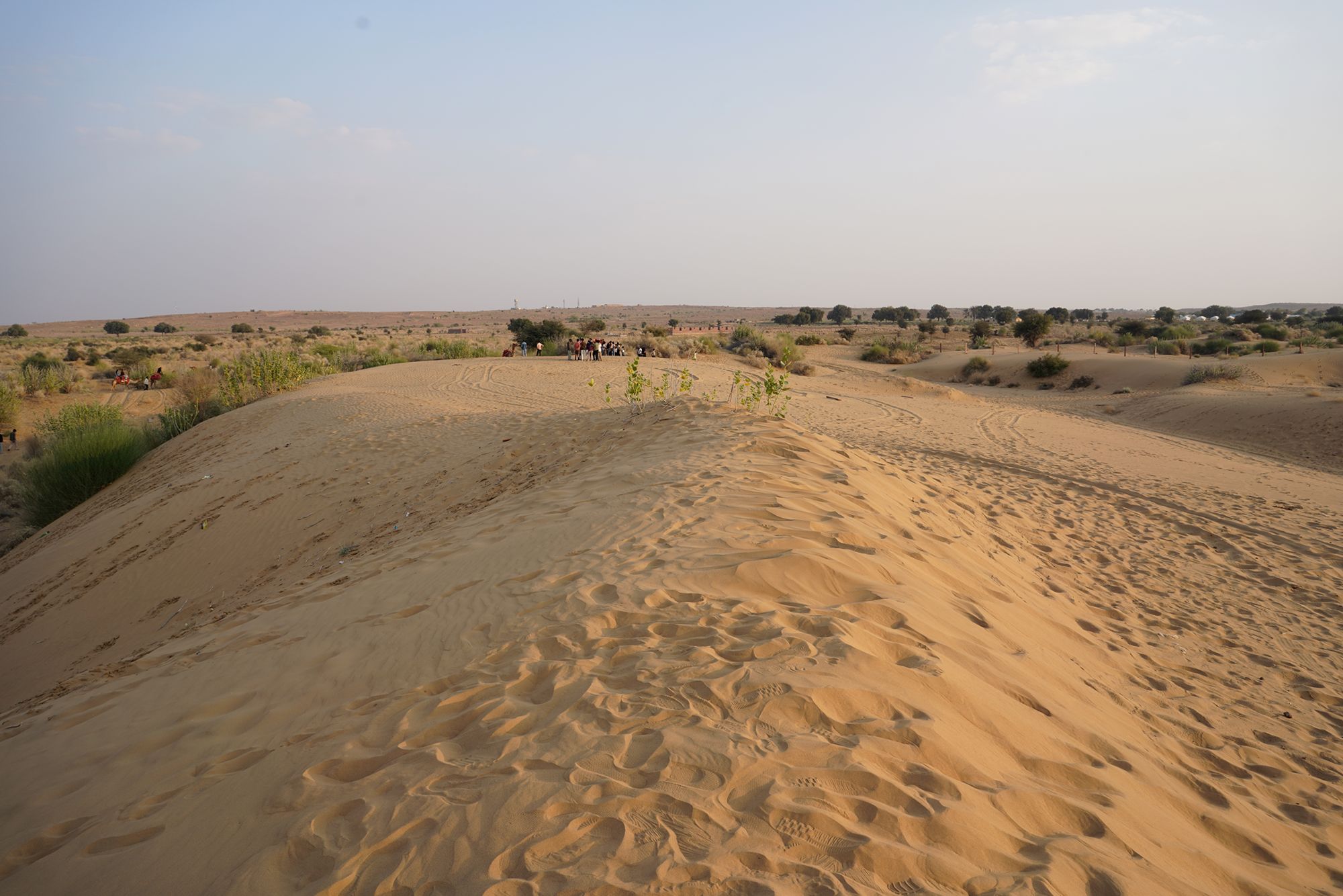 Jaisalmer and Thar Desert (135) Jaisalmer and Thar Desert (135)