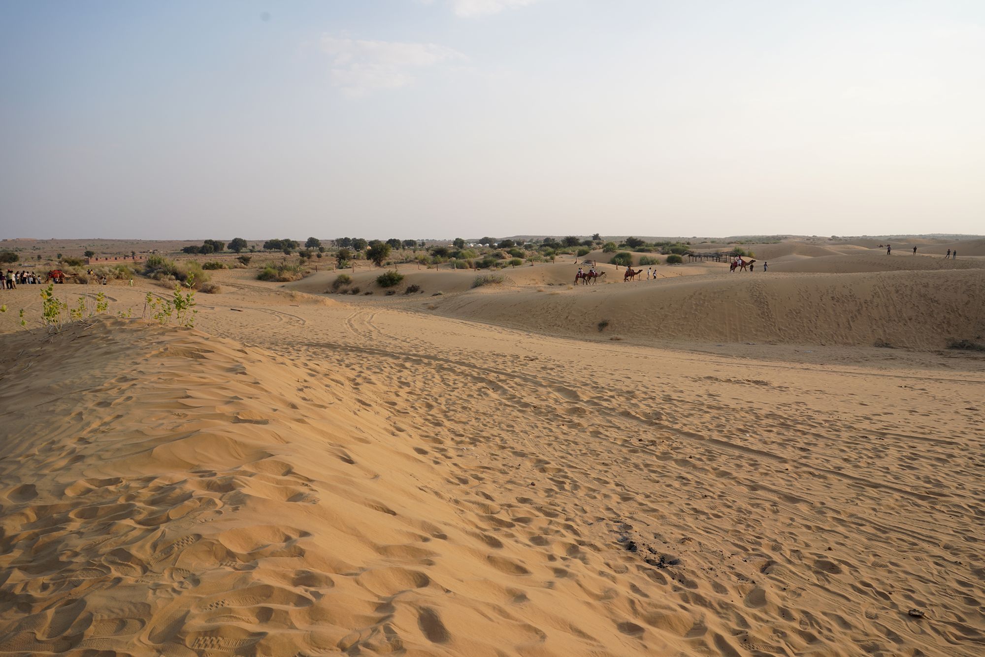 Jaisalmer and Thar Desert (136) Jaisalmer and Thar Desert (136)