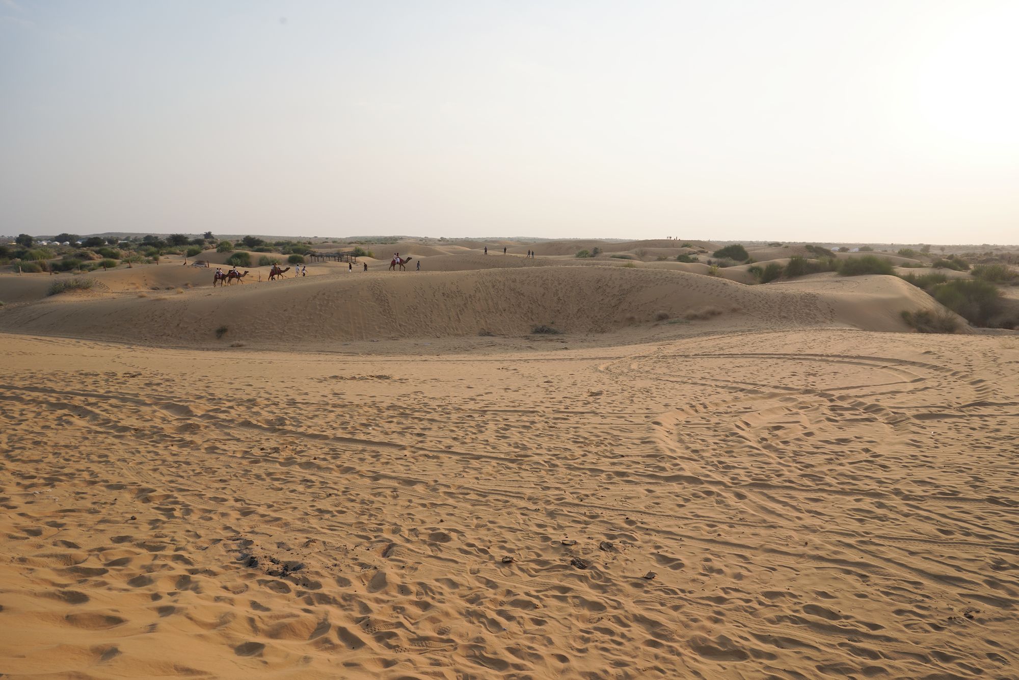 Jaisalmer and Thar Desert (137) Jaisalmer and Thar Desert (137)