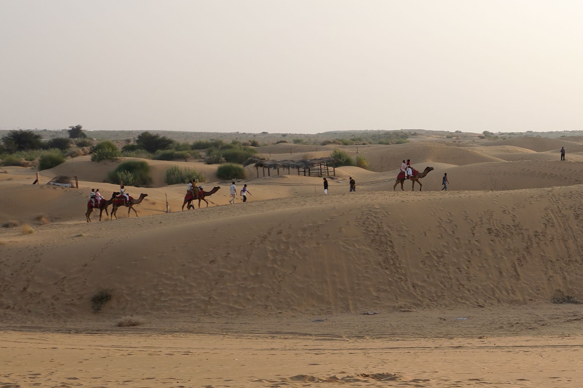 Jaisalmer and Thar Desert (138) Jaisalmer and Thar Desert (138)