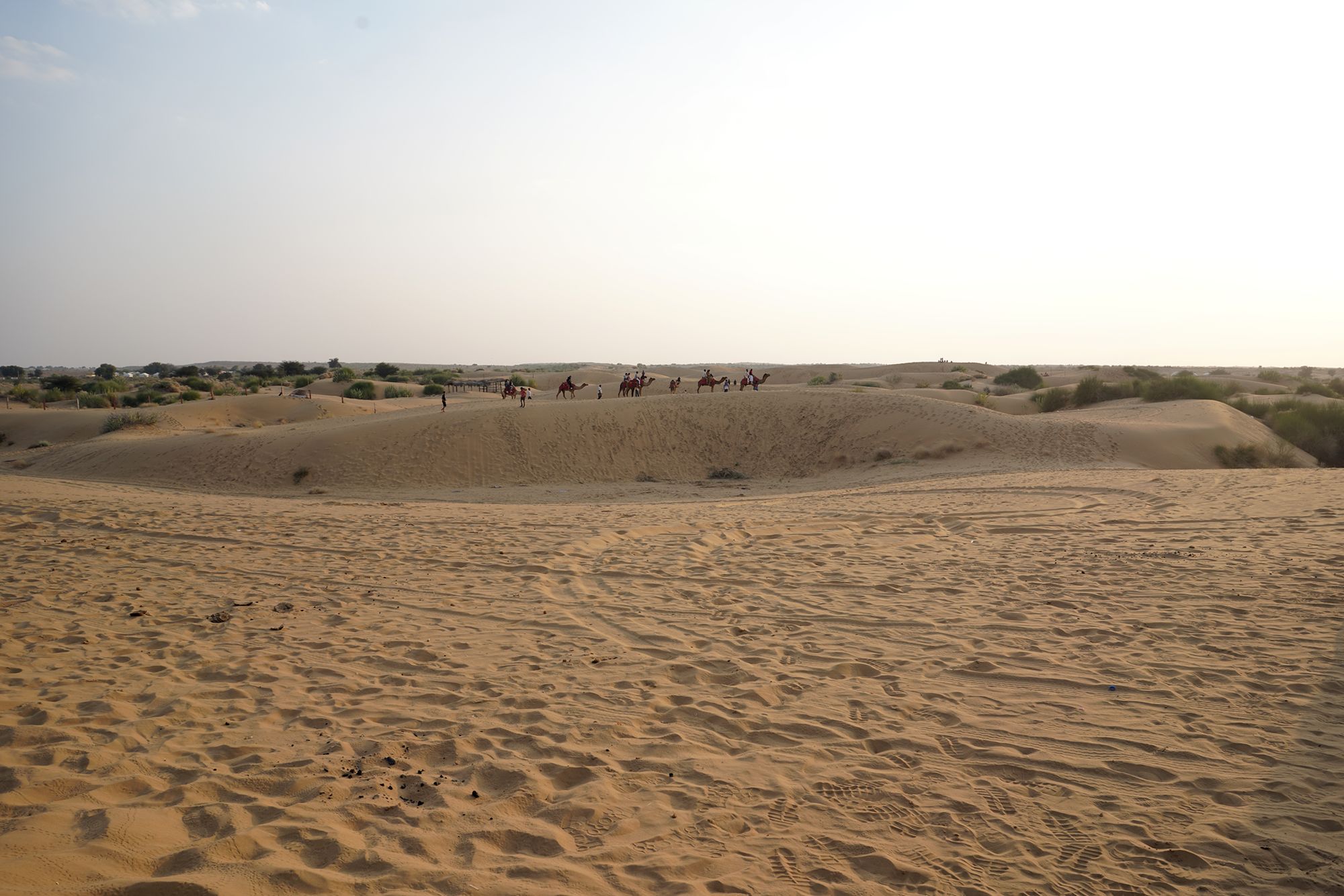 Jaisalmer and Thar Desert (142) Jaisalmer and Thar Desert (142)