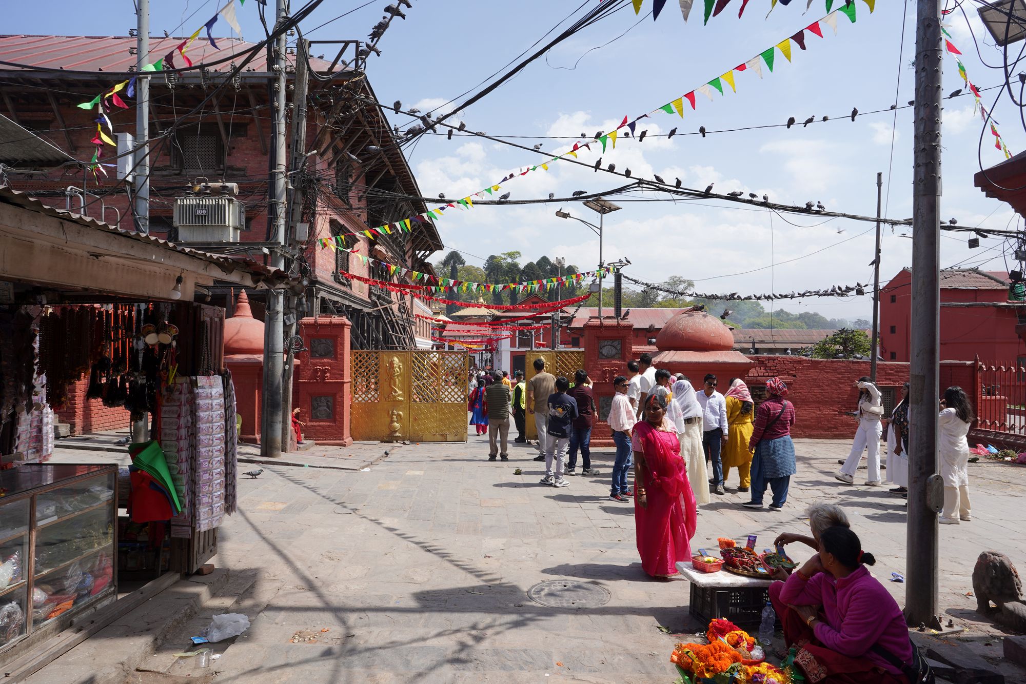 Kathmandu Pashupatinath Temple and Buddha Stupa (10) Kathmandu Pashupatinath Temple and Buddha Stupa (10)