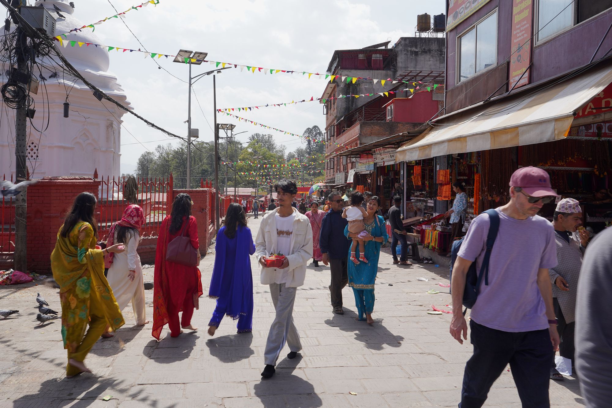 Kathmandu Pashupatinath Temple and Buddha Stupa (11) Kathmandu Pashupatinath Temple and Buddha Stupa (11)