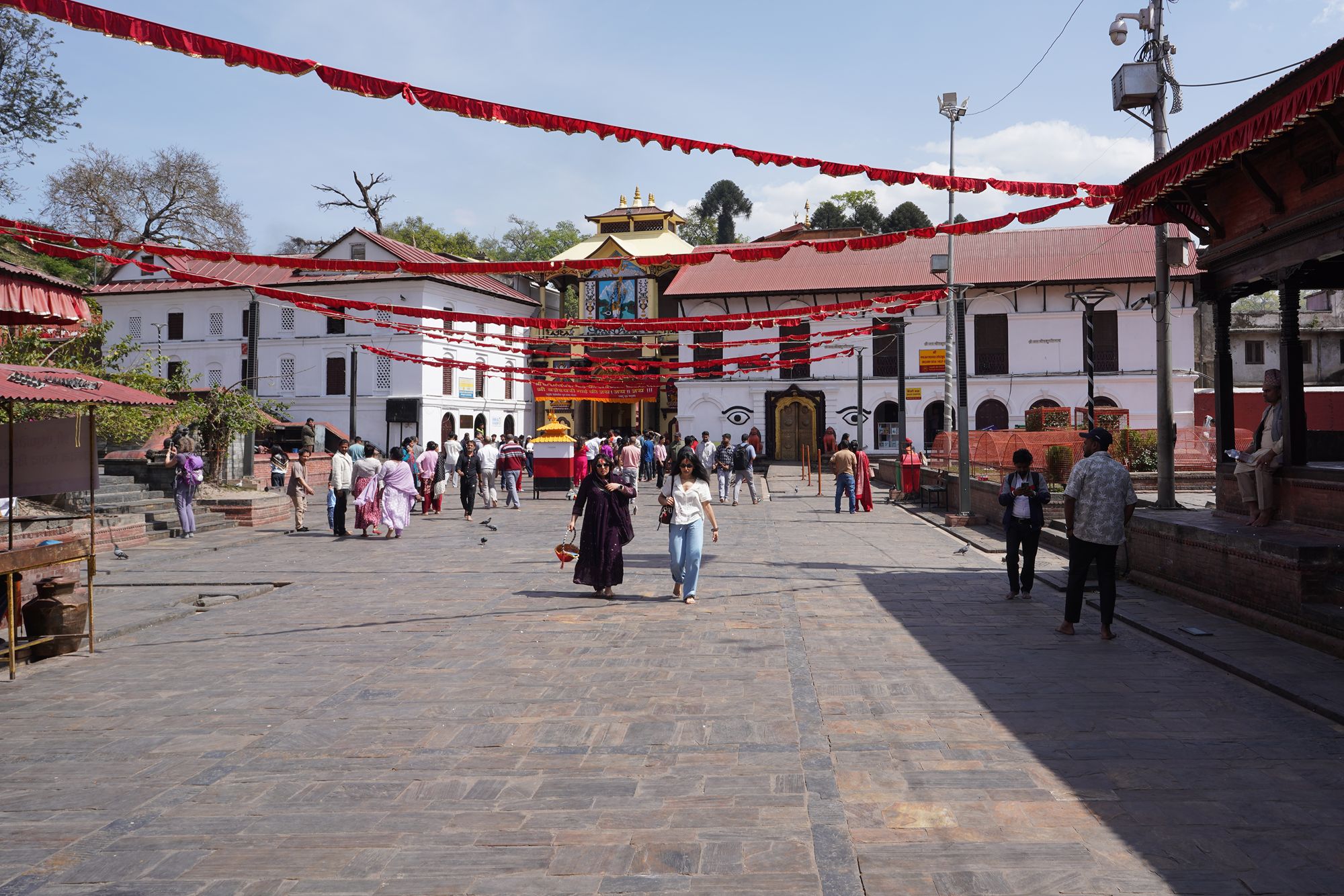Kathmandu Pashupatinath Temple and Buddha Stupa (38) Kathmandu Pashupatinath Temple and Buddha Stupa (38)