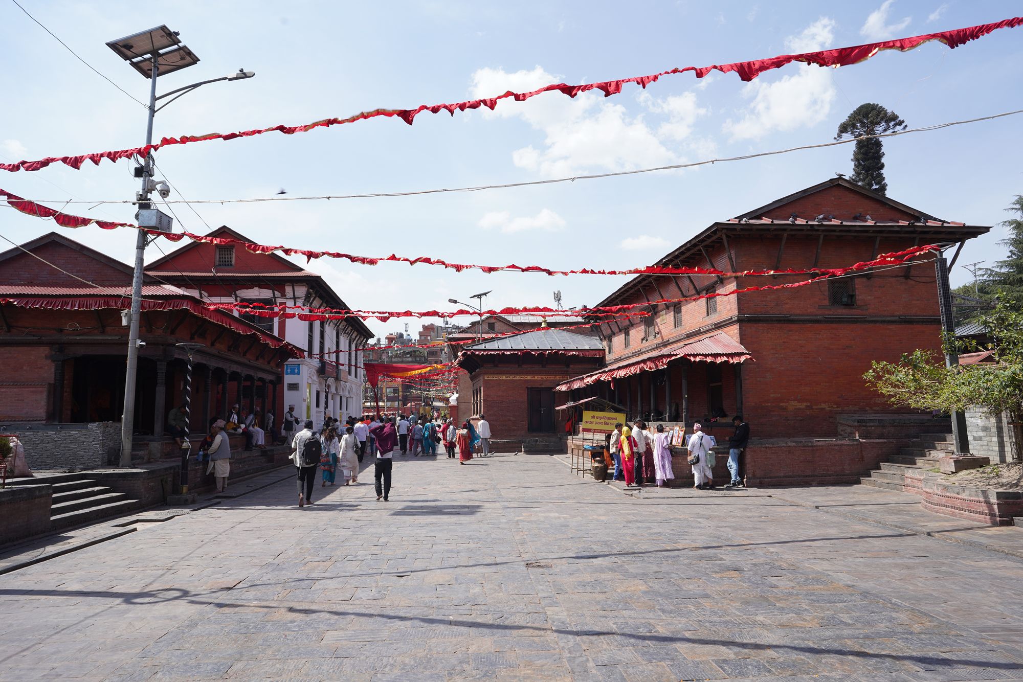 Kathmandu Pashupatinath Temple and Buddha Stupa (44) Kathmandu Pashupatinath Temple and Buddha Stupa (44)