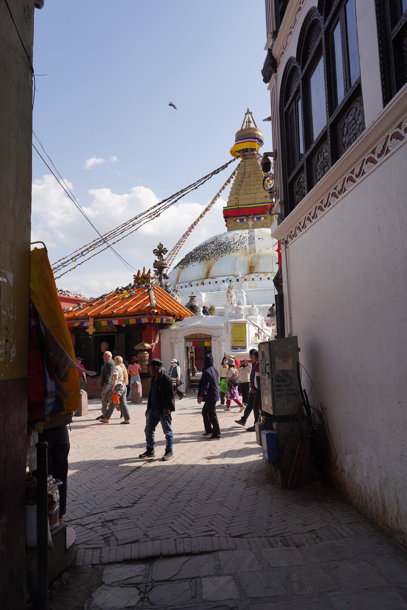 Kathmandu Pashupatinath Temple and Buddha Stupa (72) Kathmandu Pashupatinath Temple and Buddha Stupa (72)